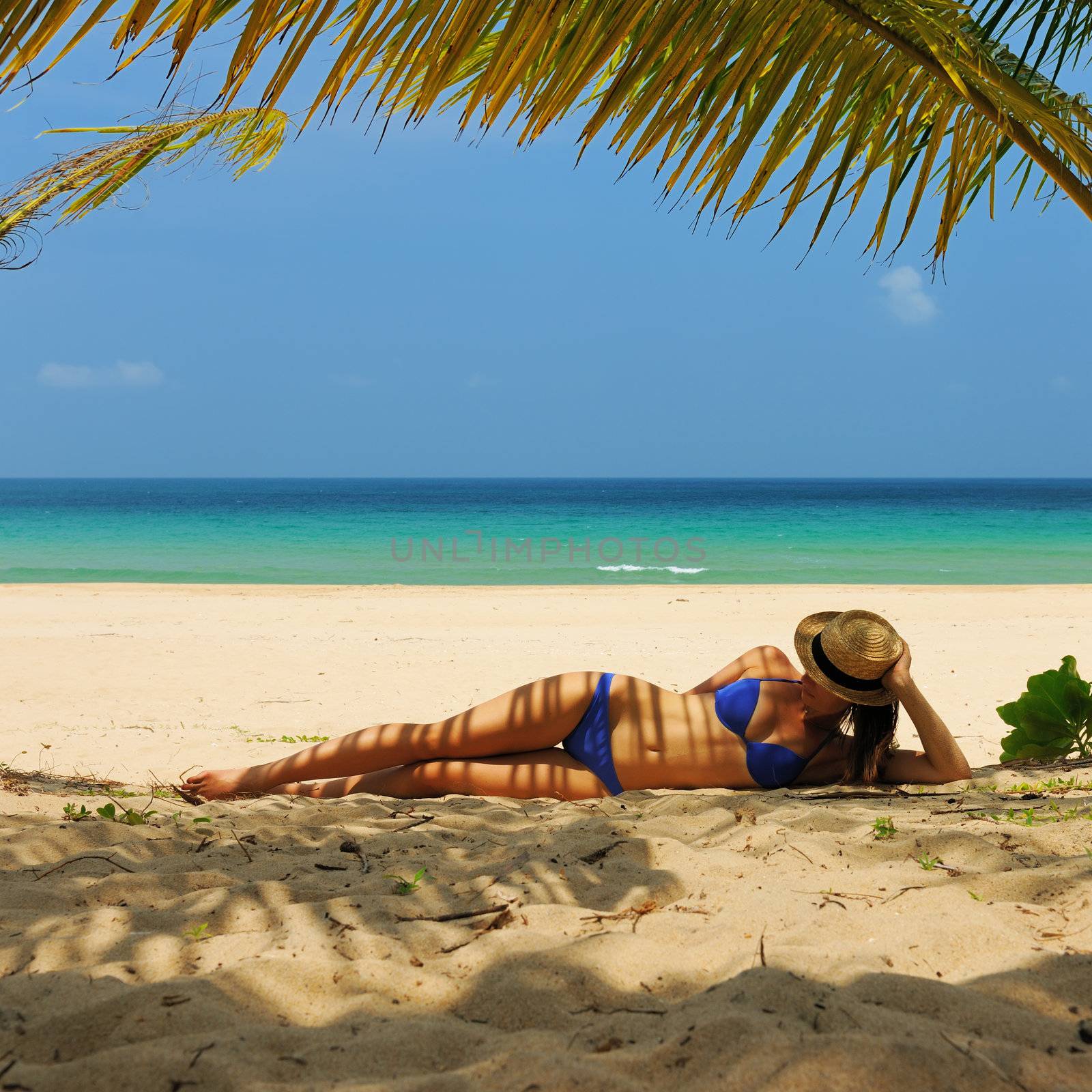 Woman at beach under palm tree by haveseen