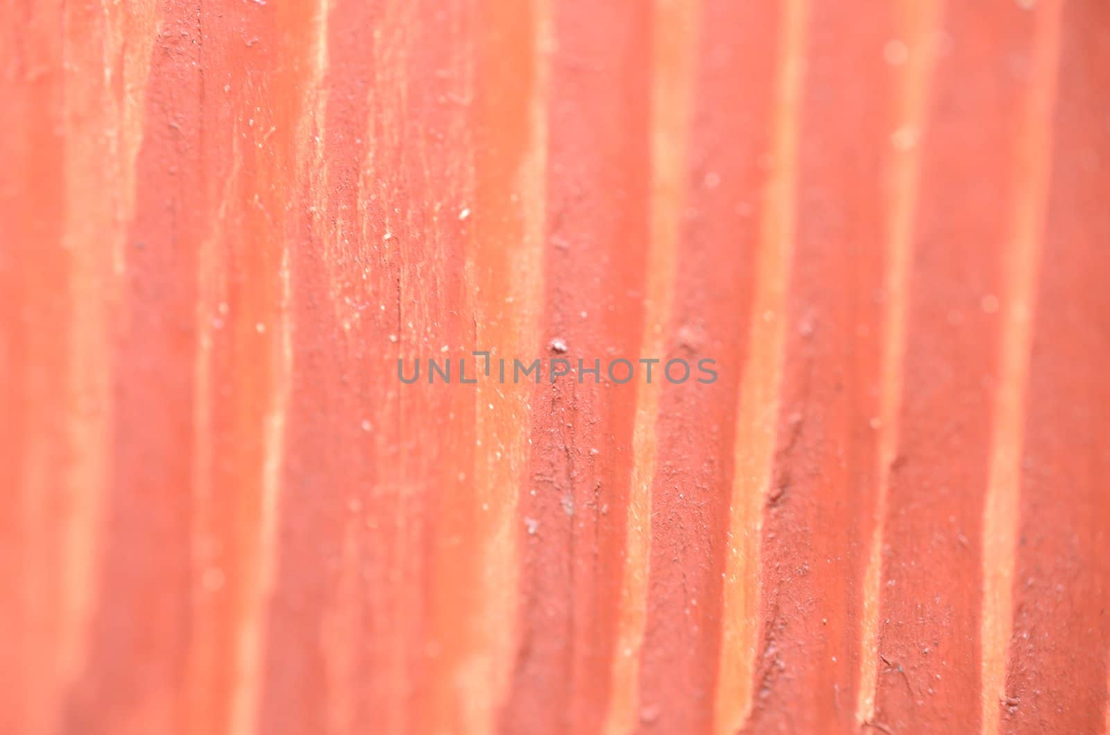 Macro photo of wood. Closeup photo showing pattern of wood with vertical lines. 