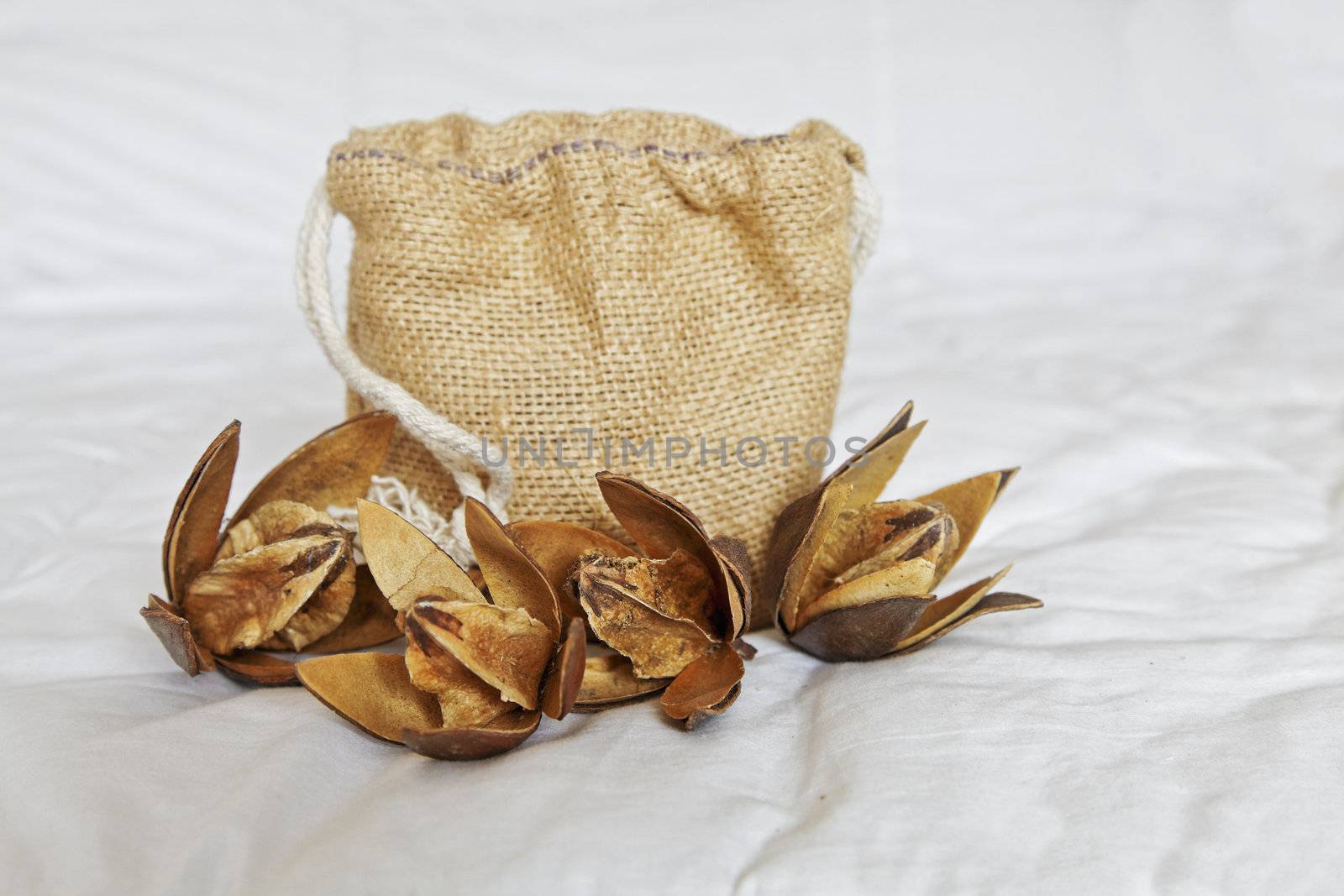 A display of cotton dehydrated buds with open petals showing cotton squares with a hessian gift holdall presentation bag on a ruffled linen backdrop. Generic image taken in a Bangalore studio, India