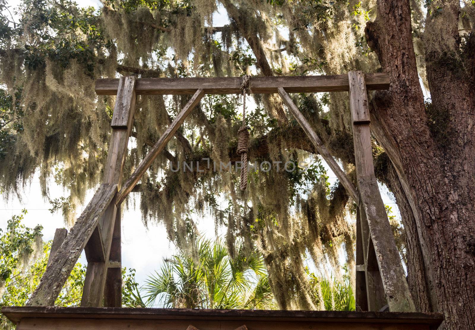 Wooden gallows rope and noose in St Augustine Florida
