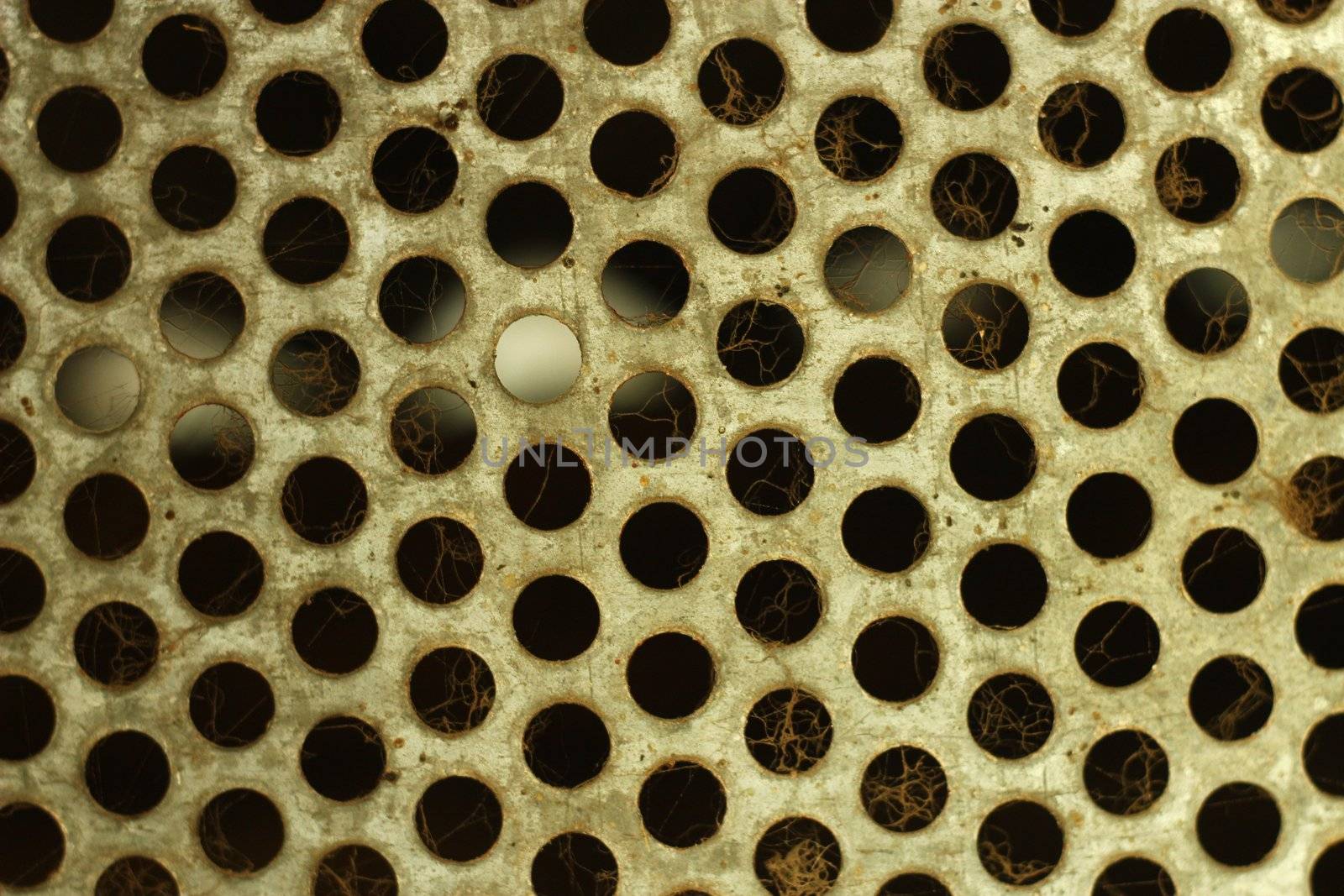 old perforated metal sheet with spider web fibres