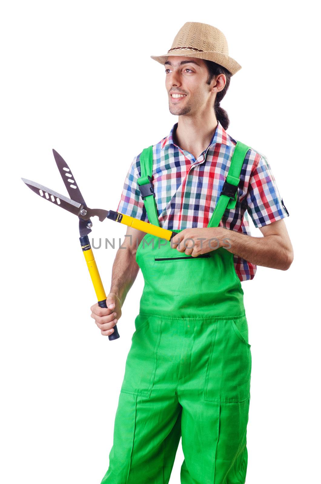 Man gardener with shears on white