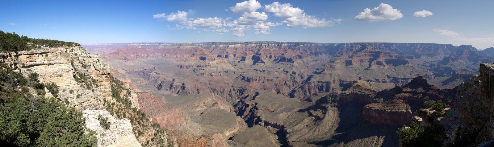 Panorama of the famous Grand Canyon by anderm