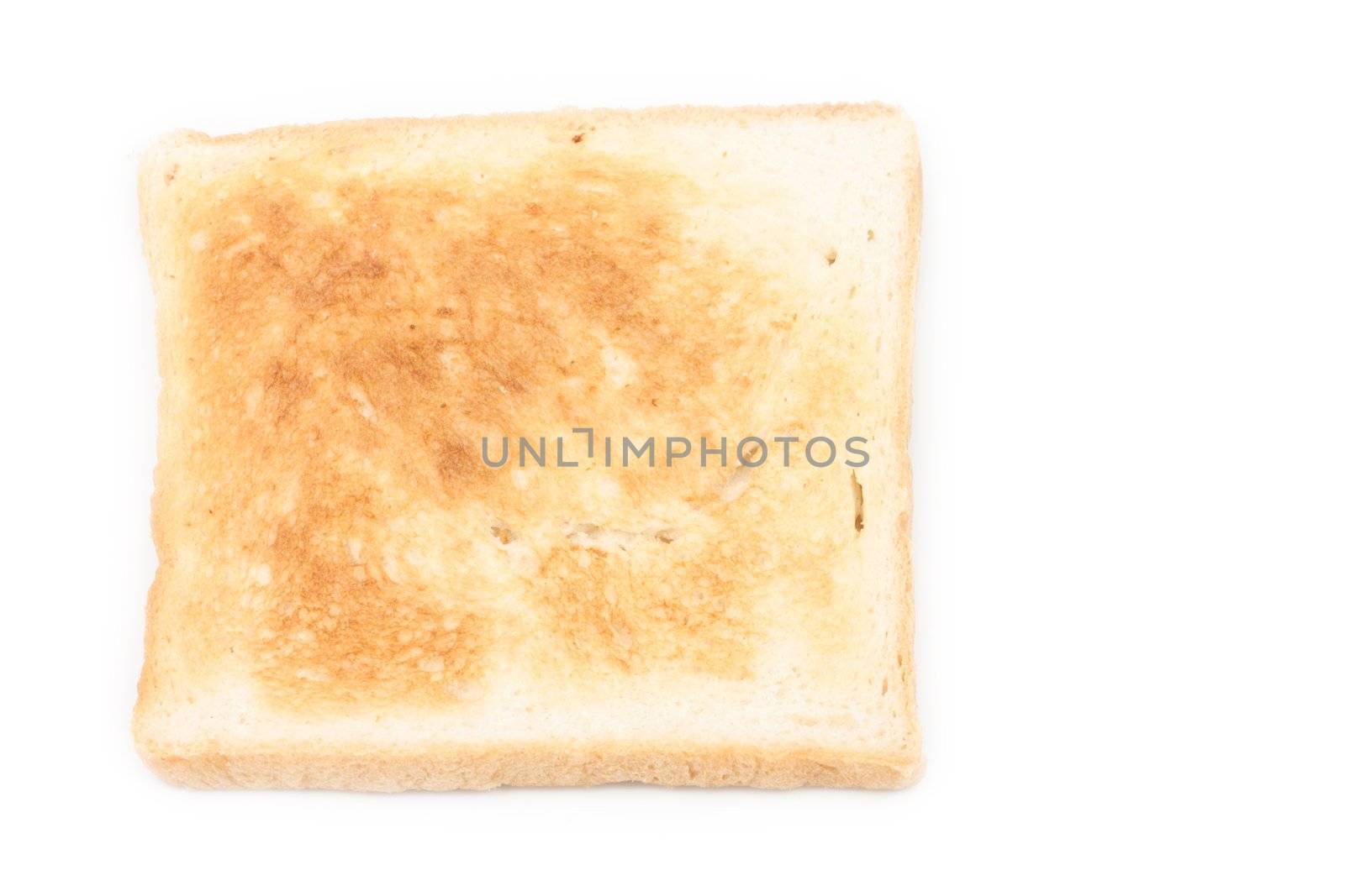 Single toasted bread on white background