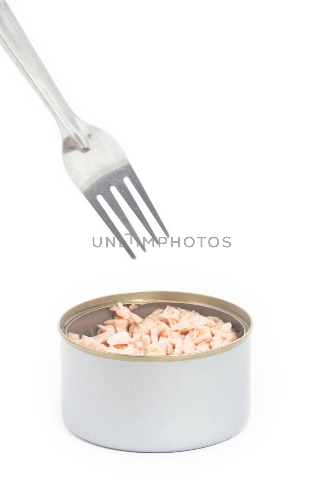 Tuna in vegetable oil with fork on white