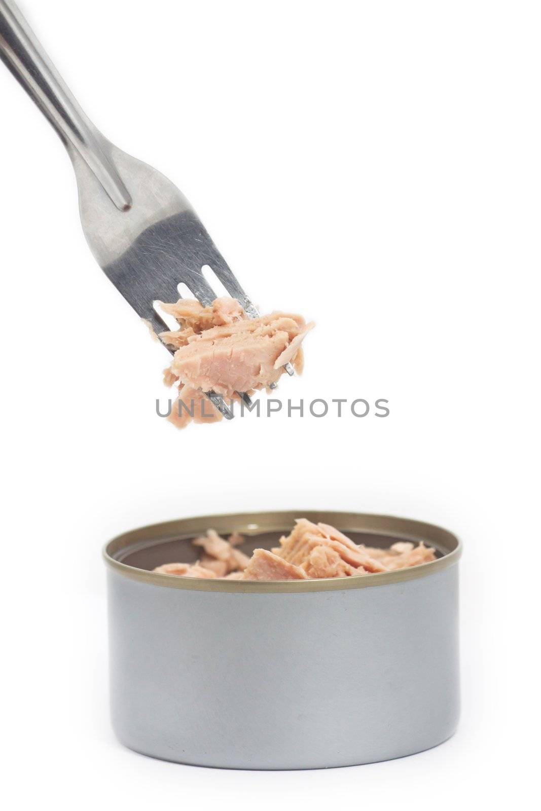 Tuna and fork by artemisphoto