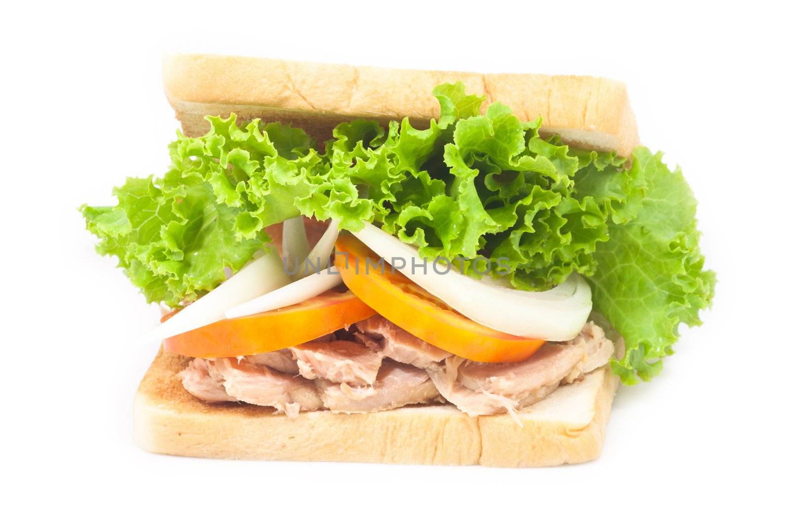 Tuna sandwich on white isolated
