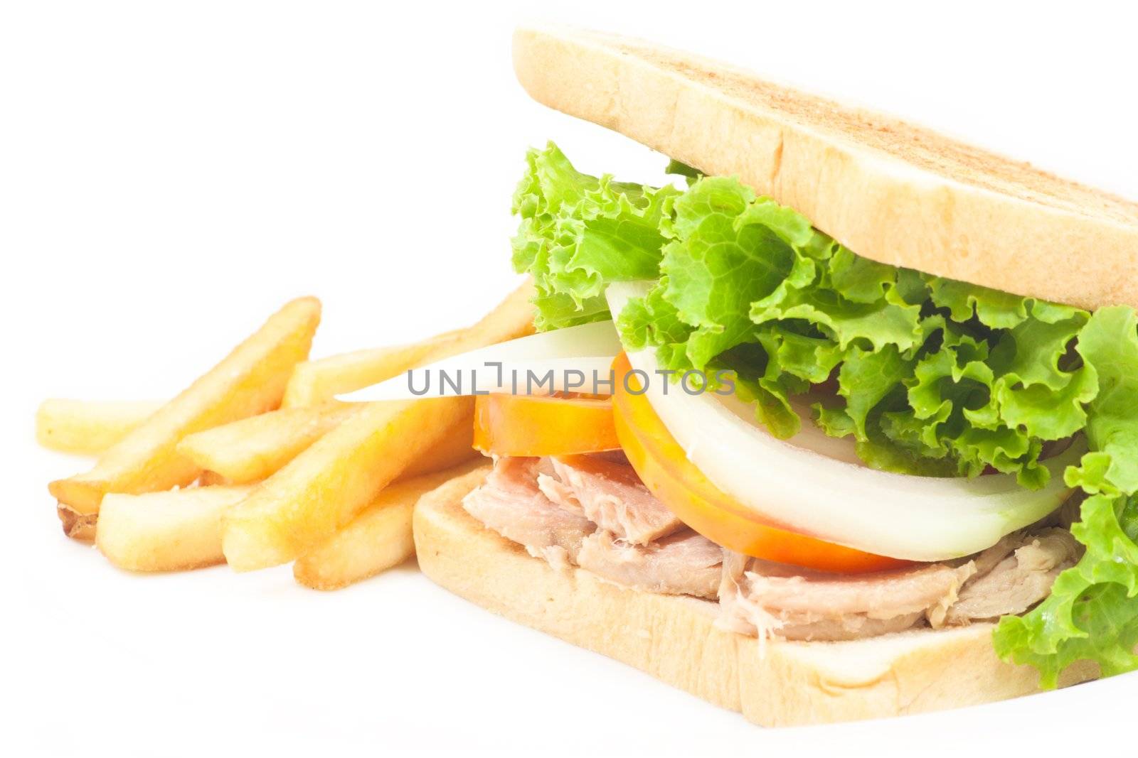 Tuna Sandwich by artemisphoto