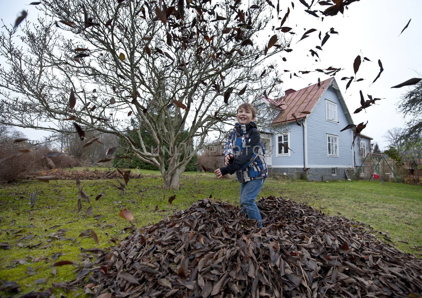 Young boy playing with leaves in the garden