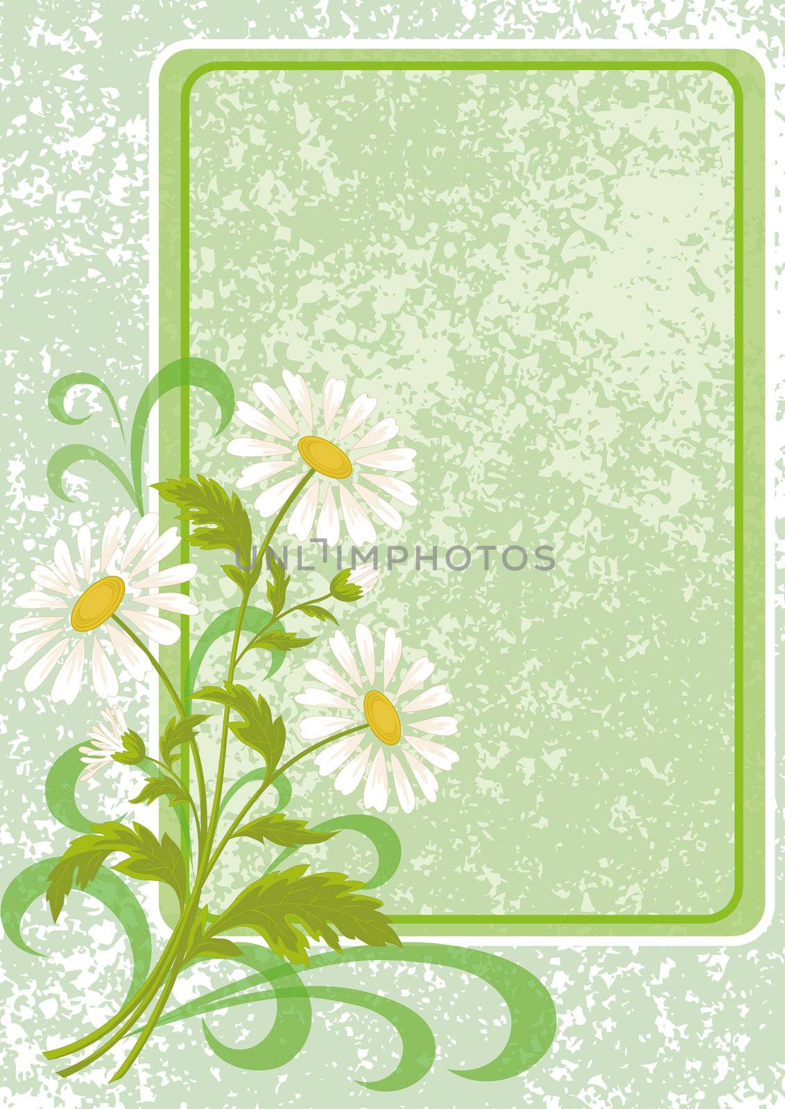 Floral holiday background with chamomile flowers and frame