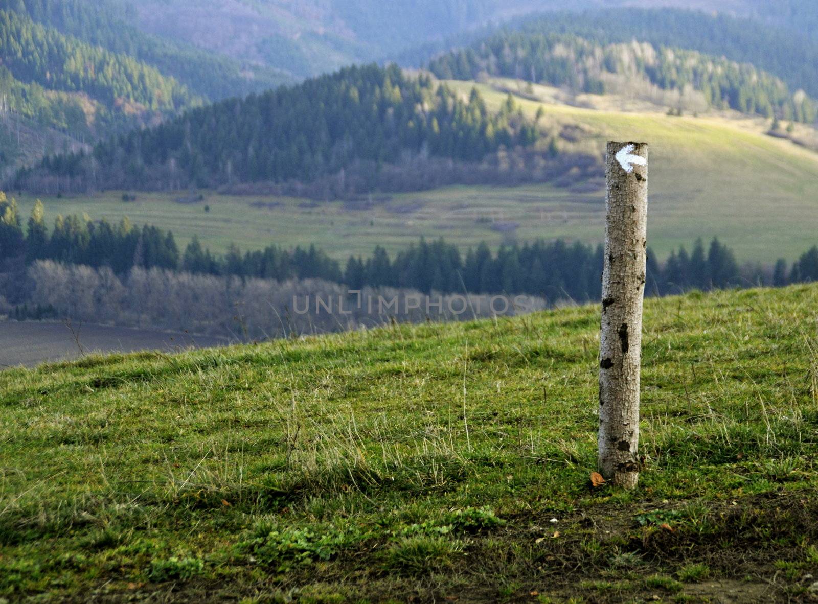 background with landscape and to the right direction with a wooden peg