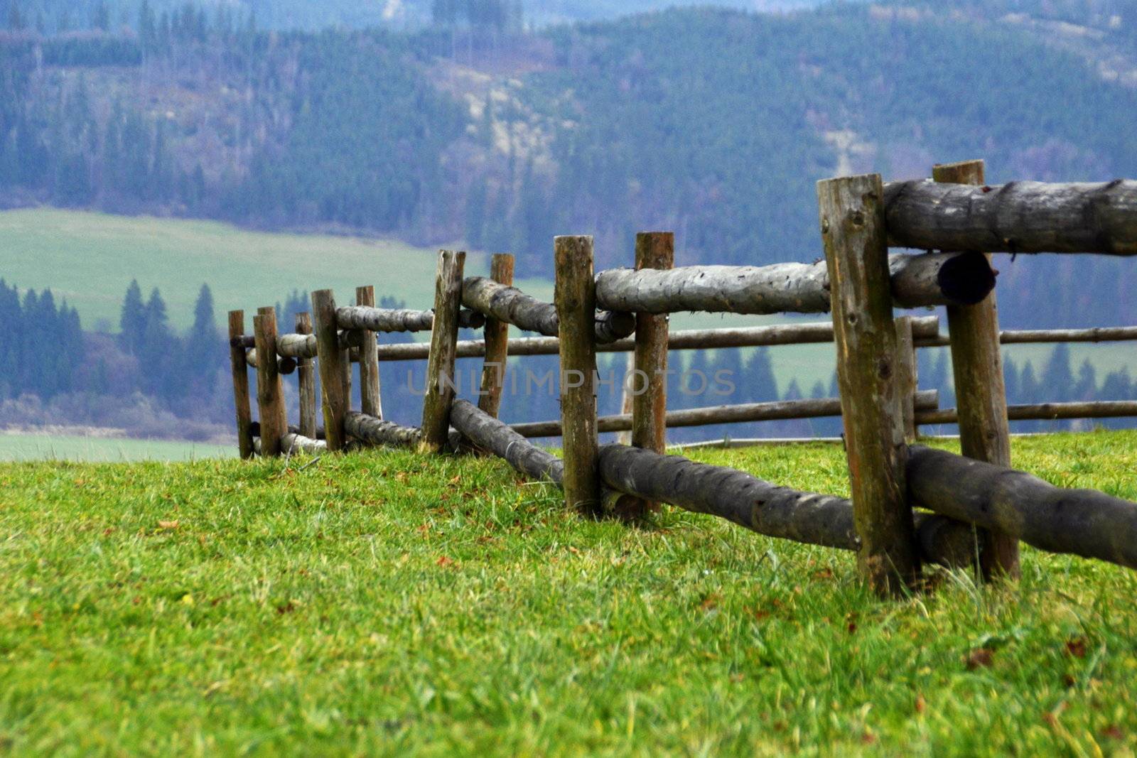 wooden fence building by Ahojdoma