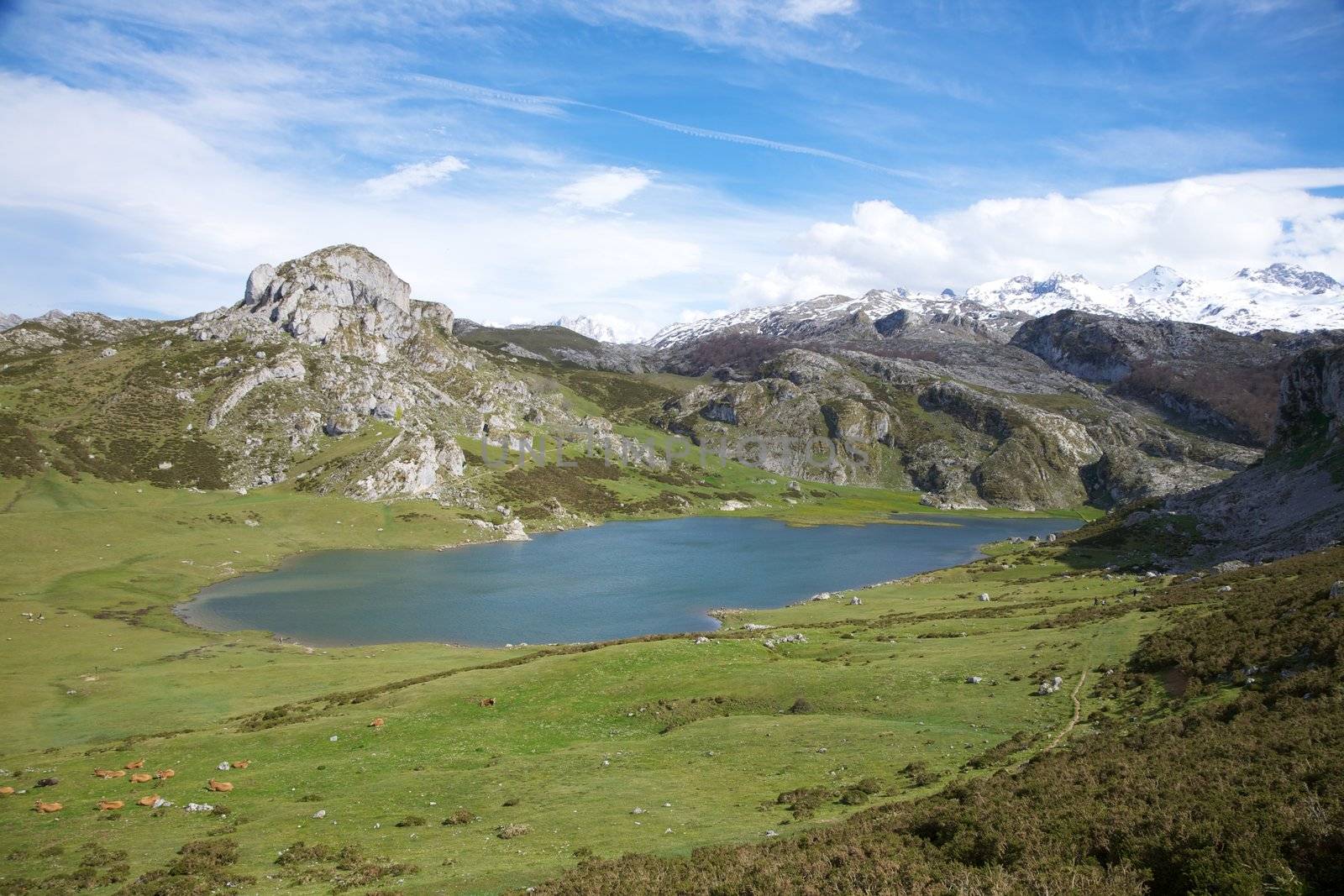 Ercina lake at Picos de Europa mountains in Cangas de Onis Asturias