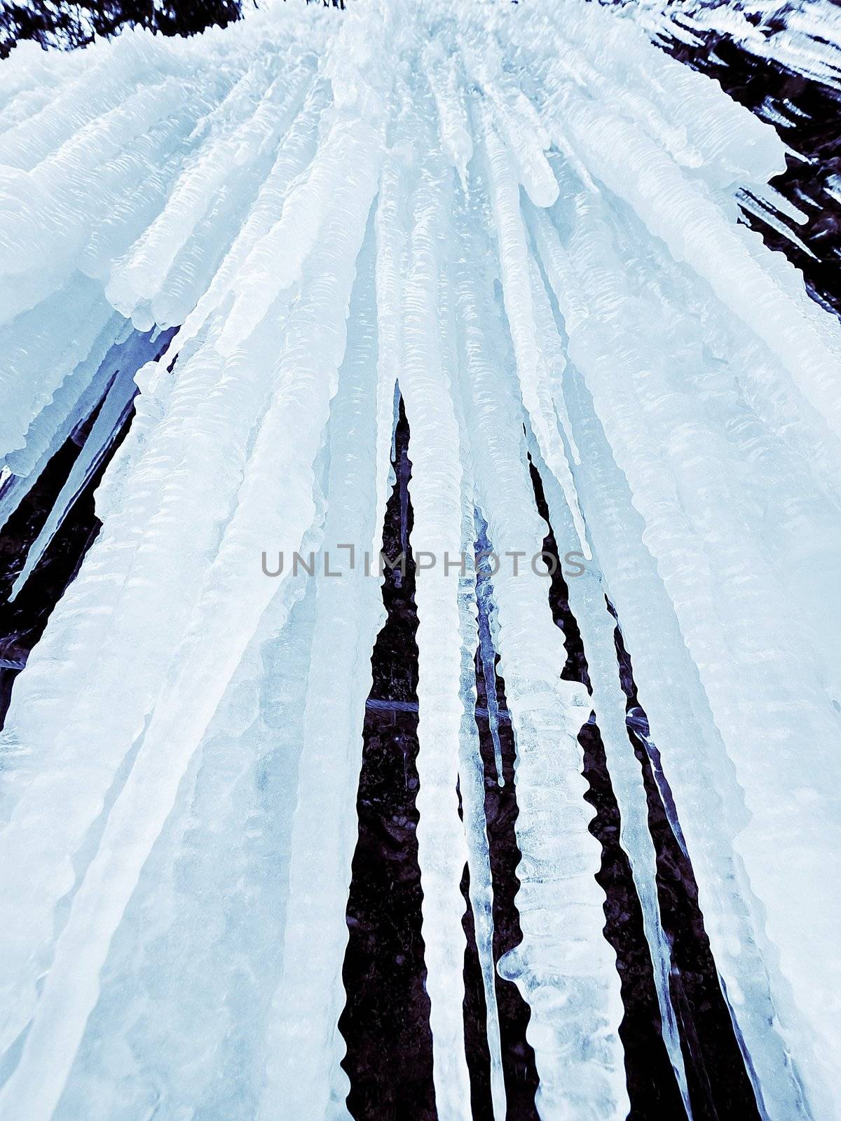 icicles above the frozen river