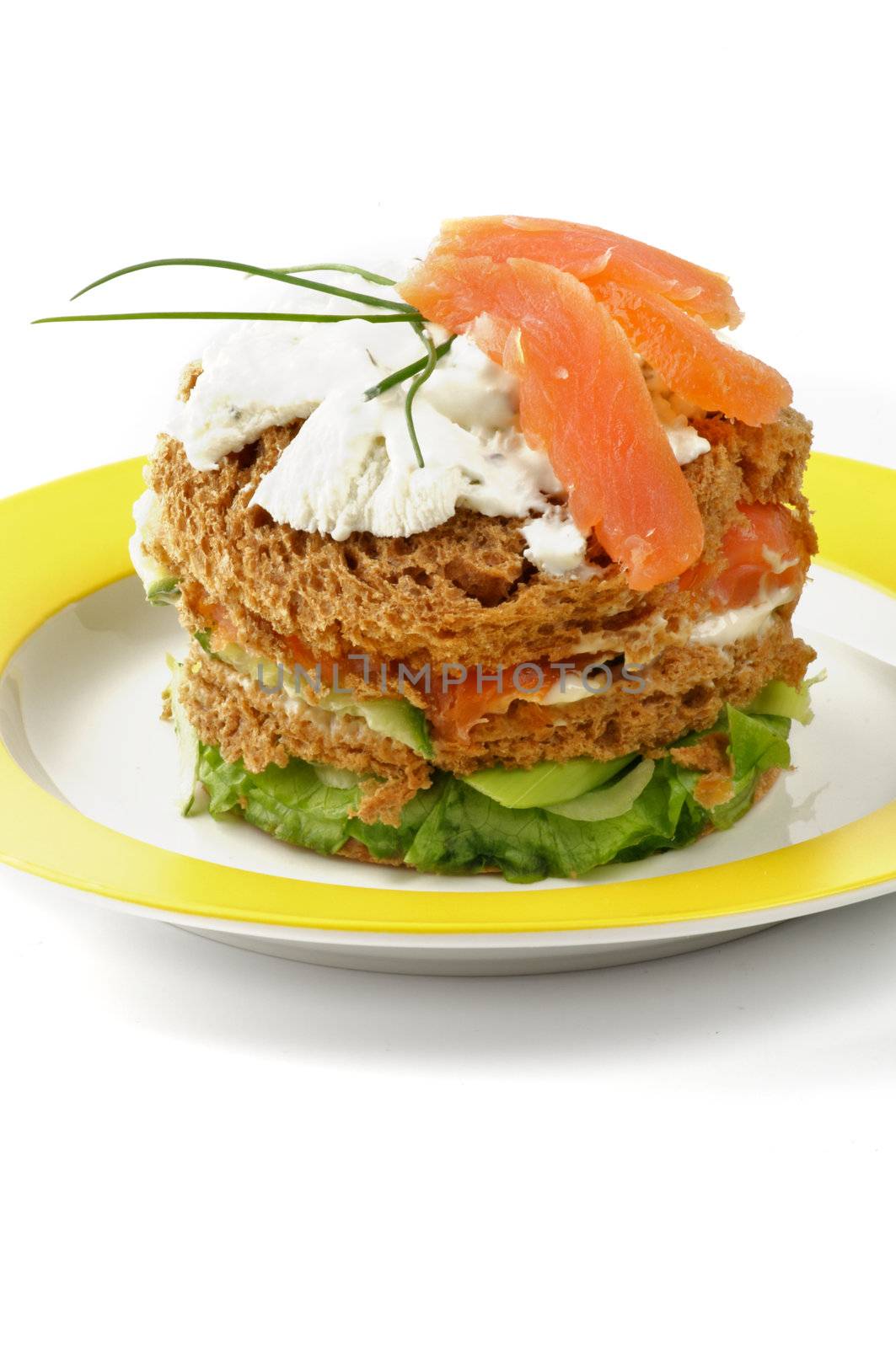 Big Tasty Sandwich with Salmon, Greens, Spring Onion and Cream Cheese on Yellow Plate closeup