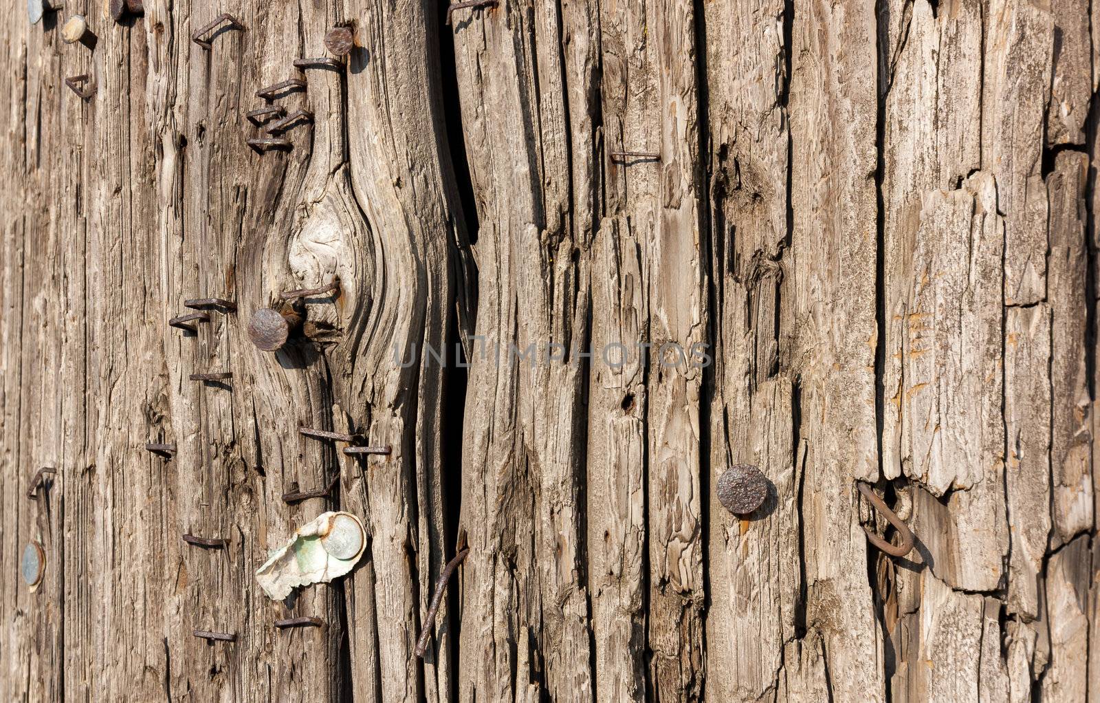 Worn Textured Telephone Pole Suitable for Background on Horizontal