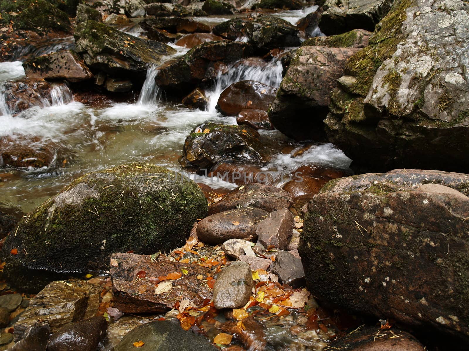 Forrest stream at autumn by anderm