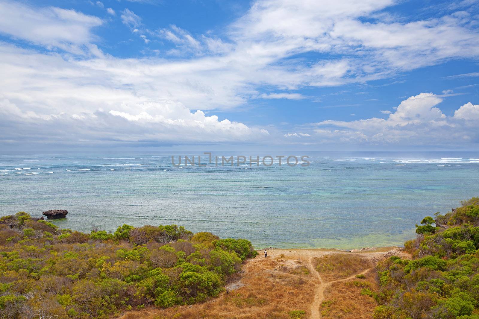 Untouched nature at Mafia Island in Tanzania