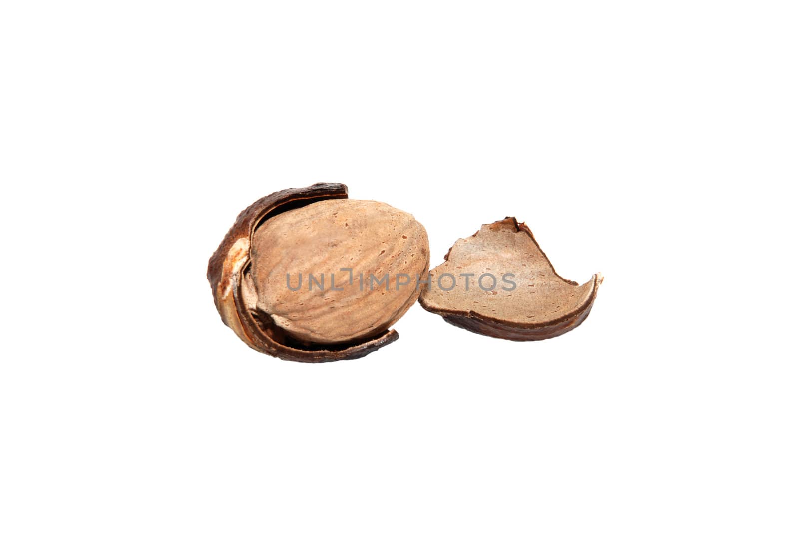 Whole nutmeg broken open, isolated on a white background