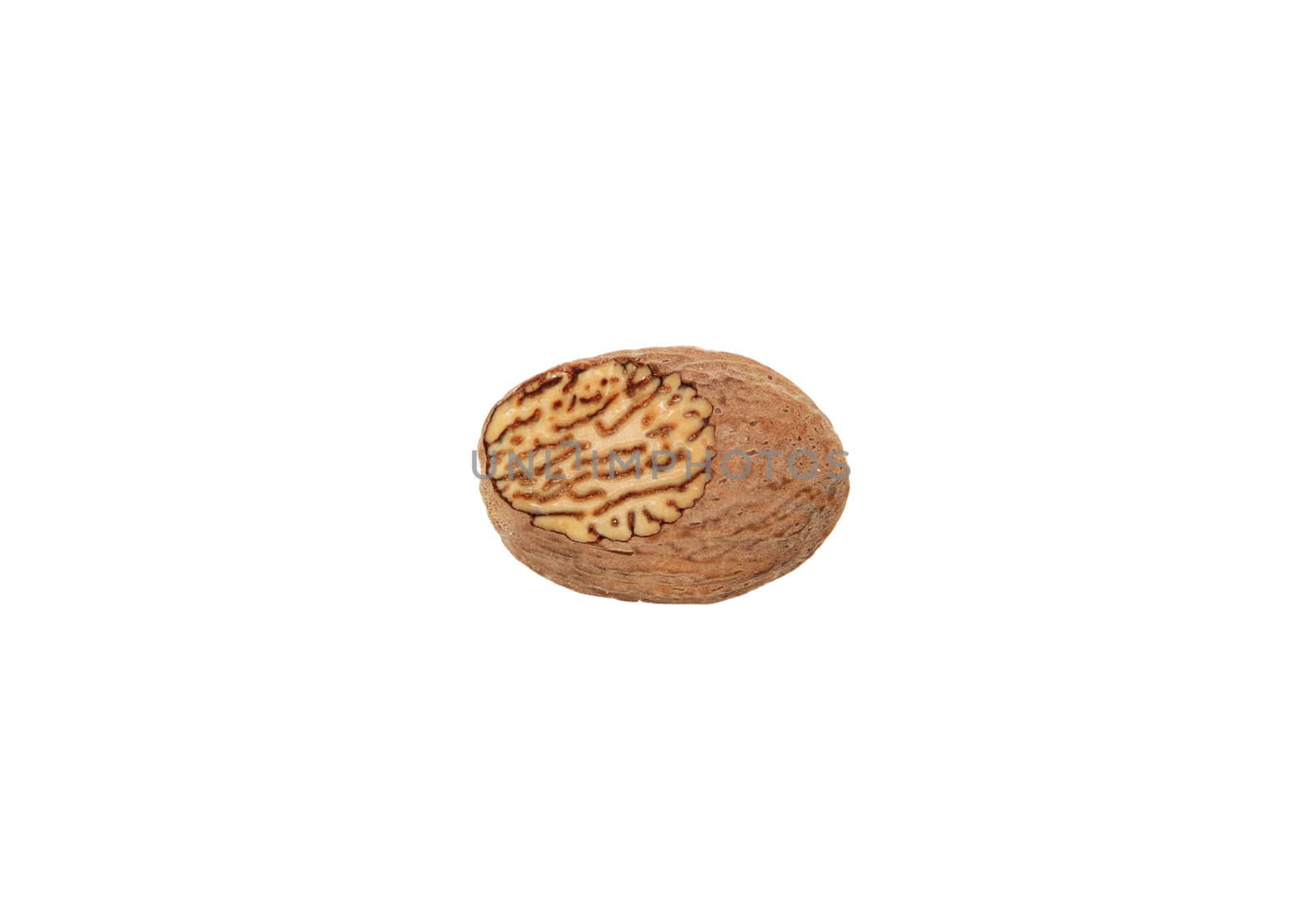 Whole nutmeg showing a grated face, isolated on a white background