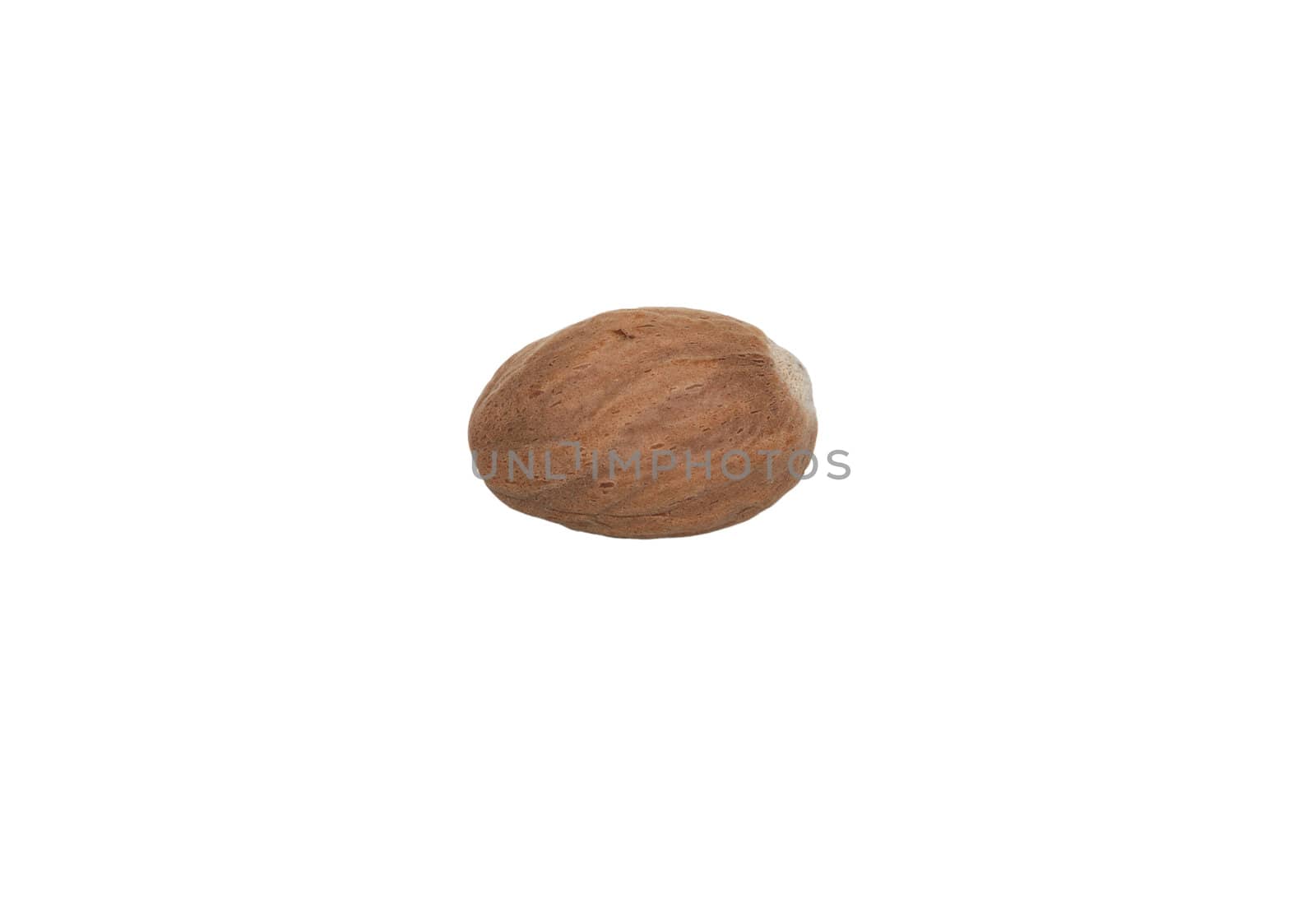 One whole nutmeg, isolated on a white background