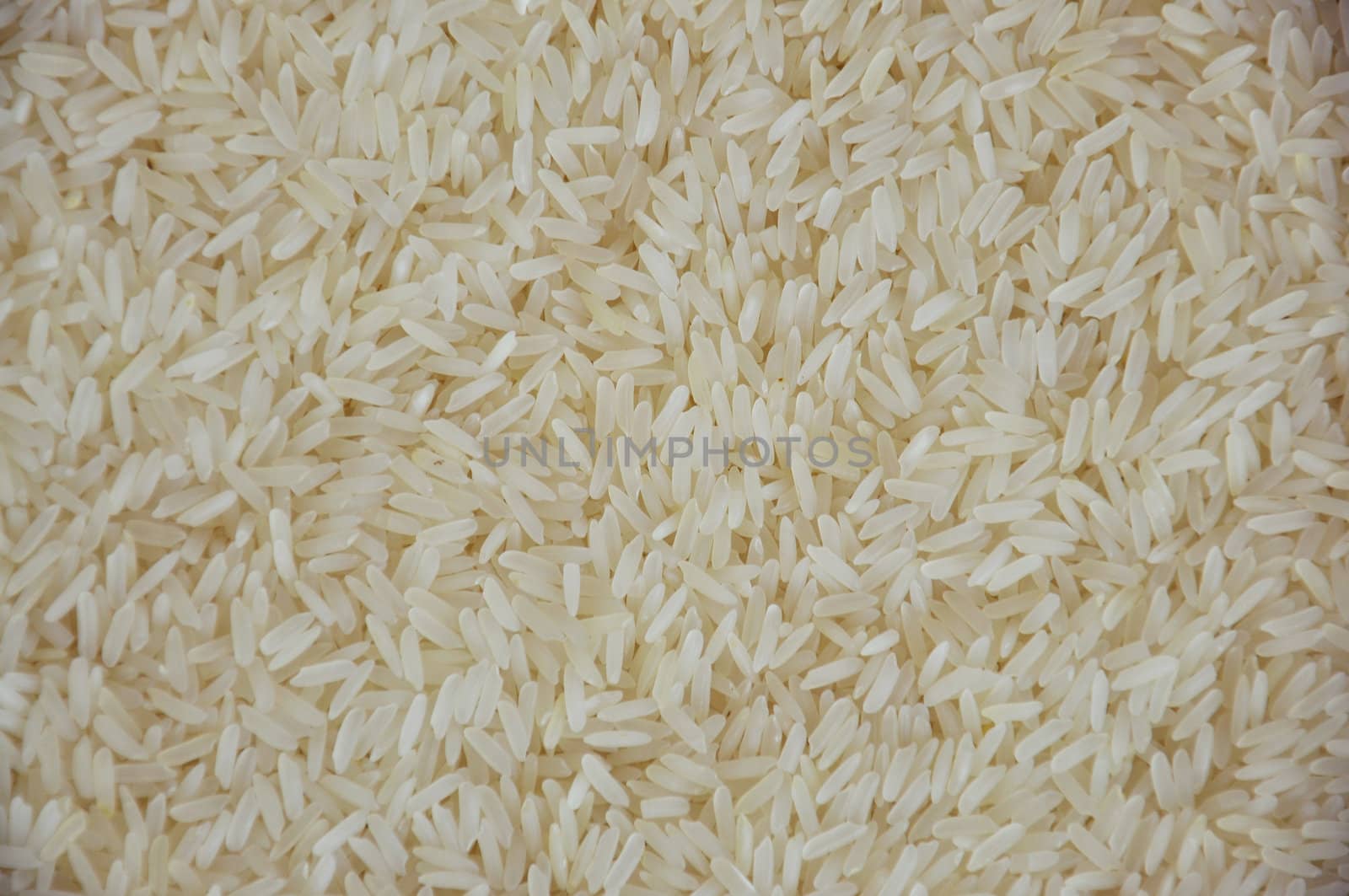 Rice is the seed of the monocot plants.