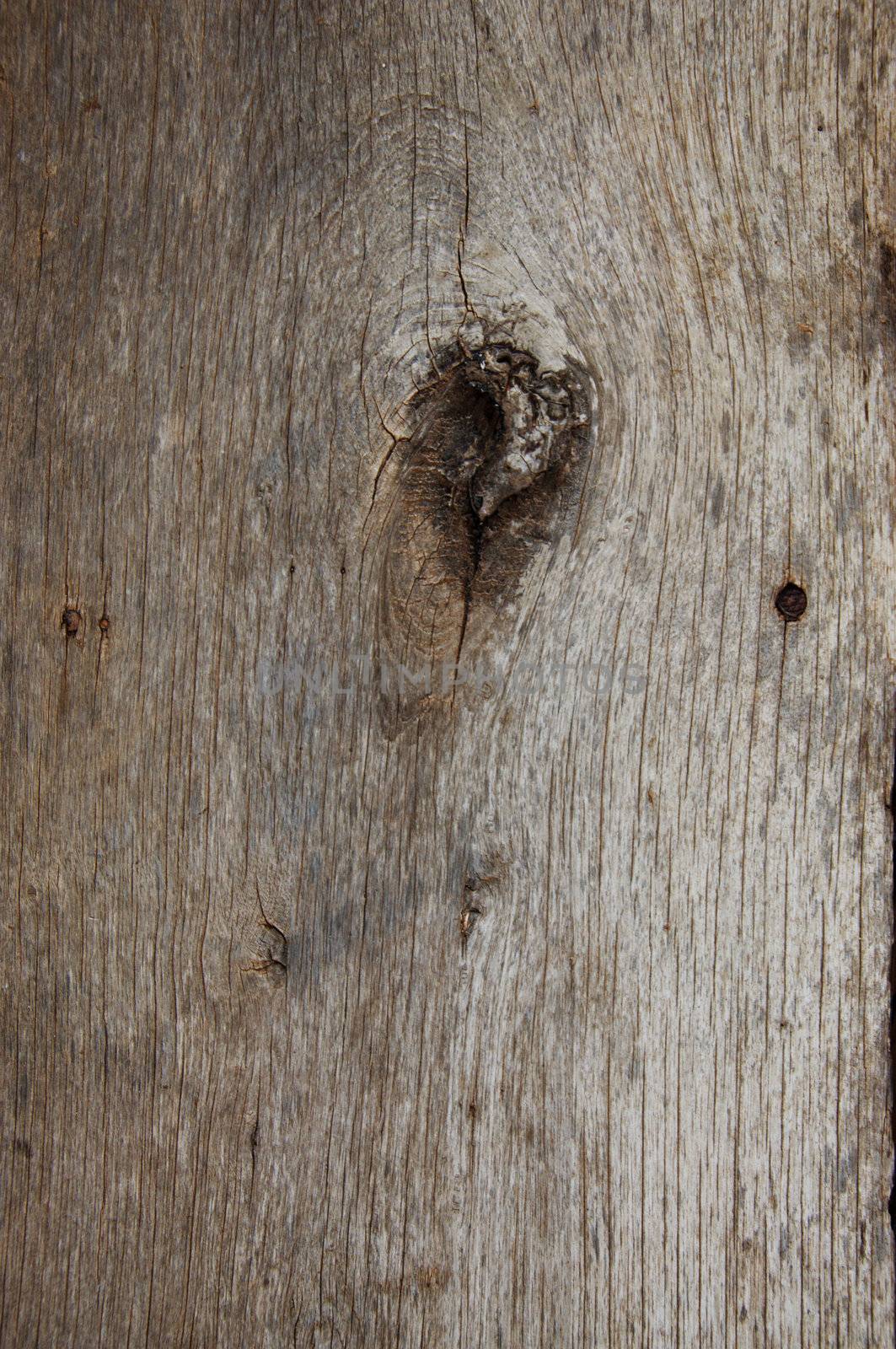 Wood texture background for design