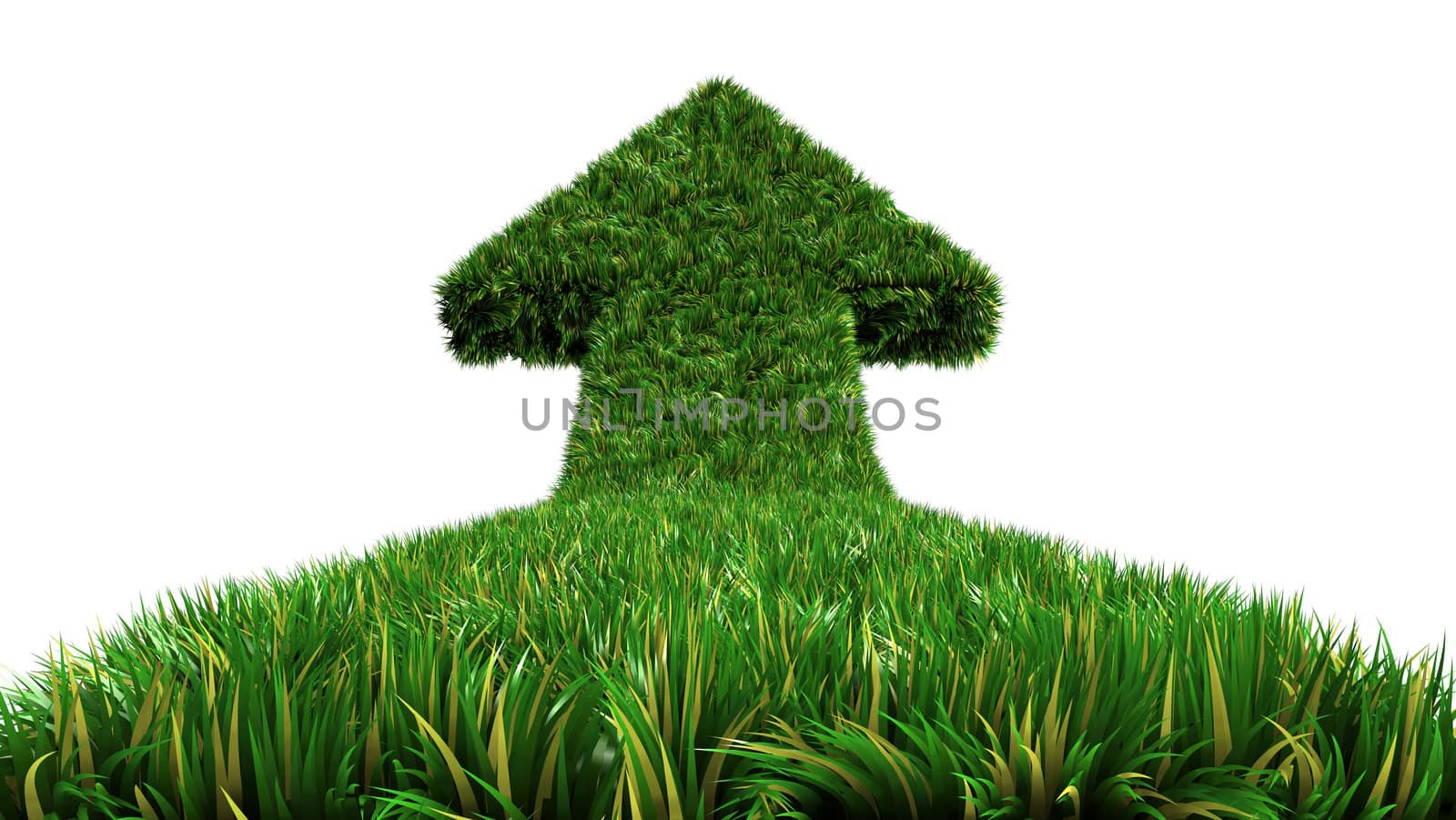 arrow from grass way, ecologic symbol on isolate white background