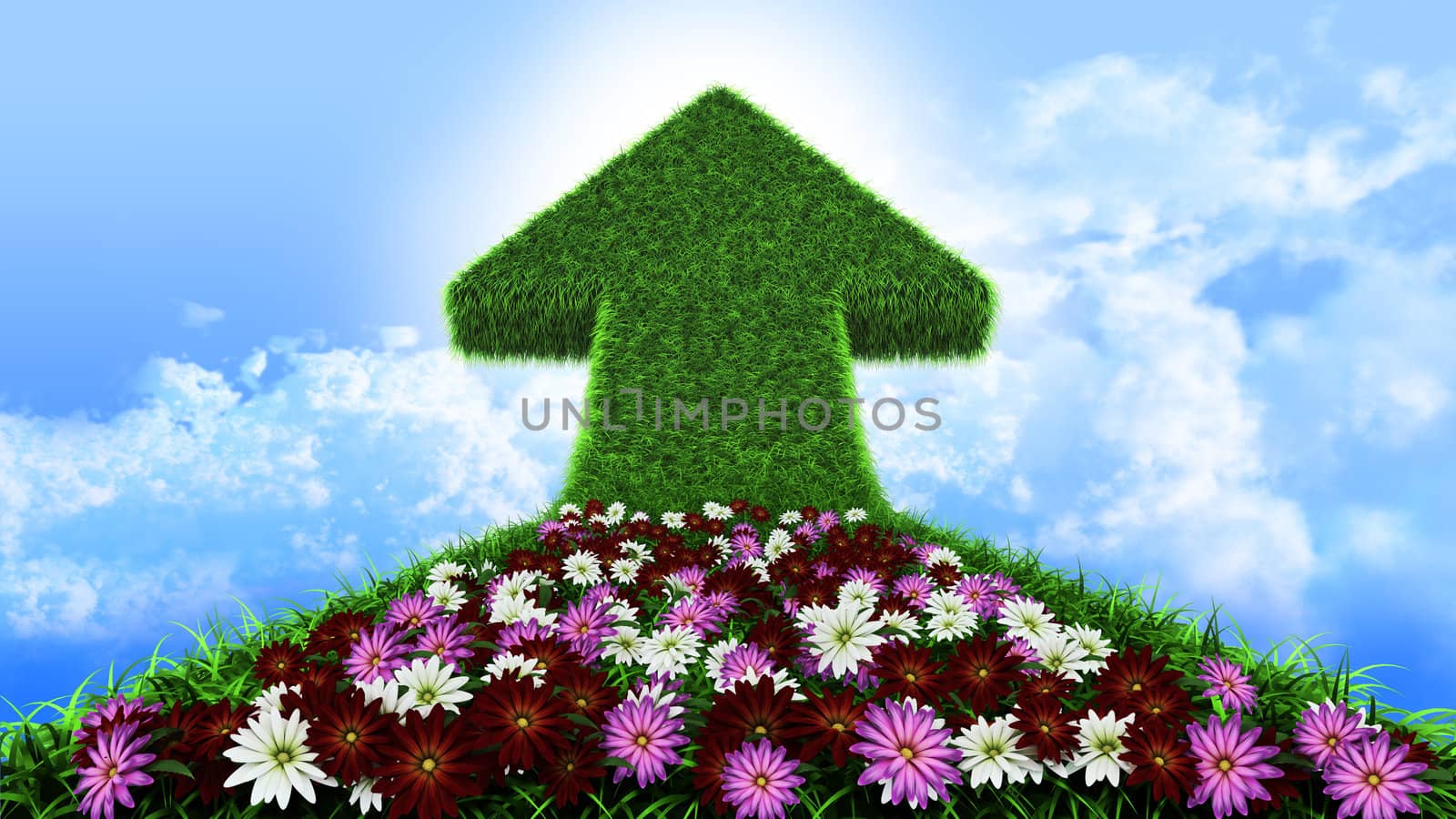 arrow from grass way, with flowers and sky, ecologic symbol