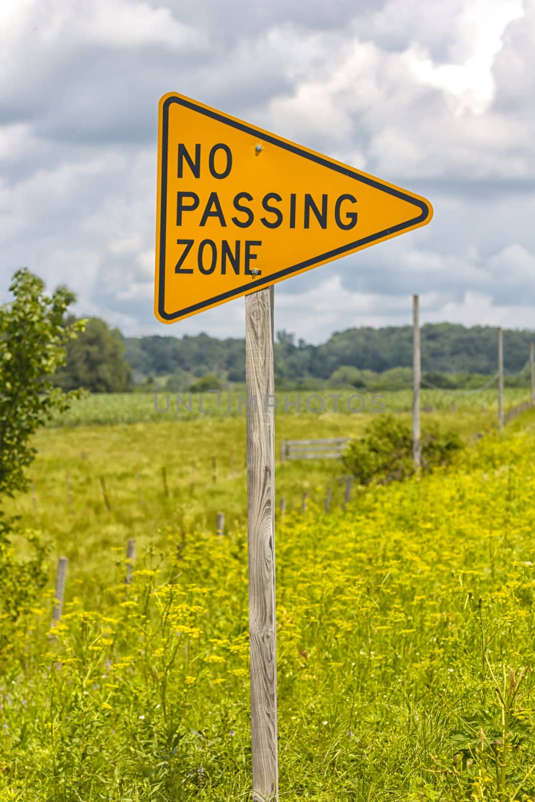 No Passing Zone Sign on Country Road in Summer by wolterk