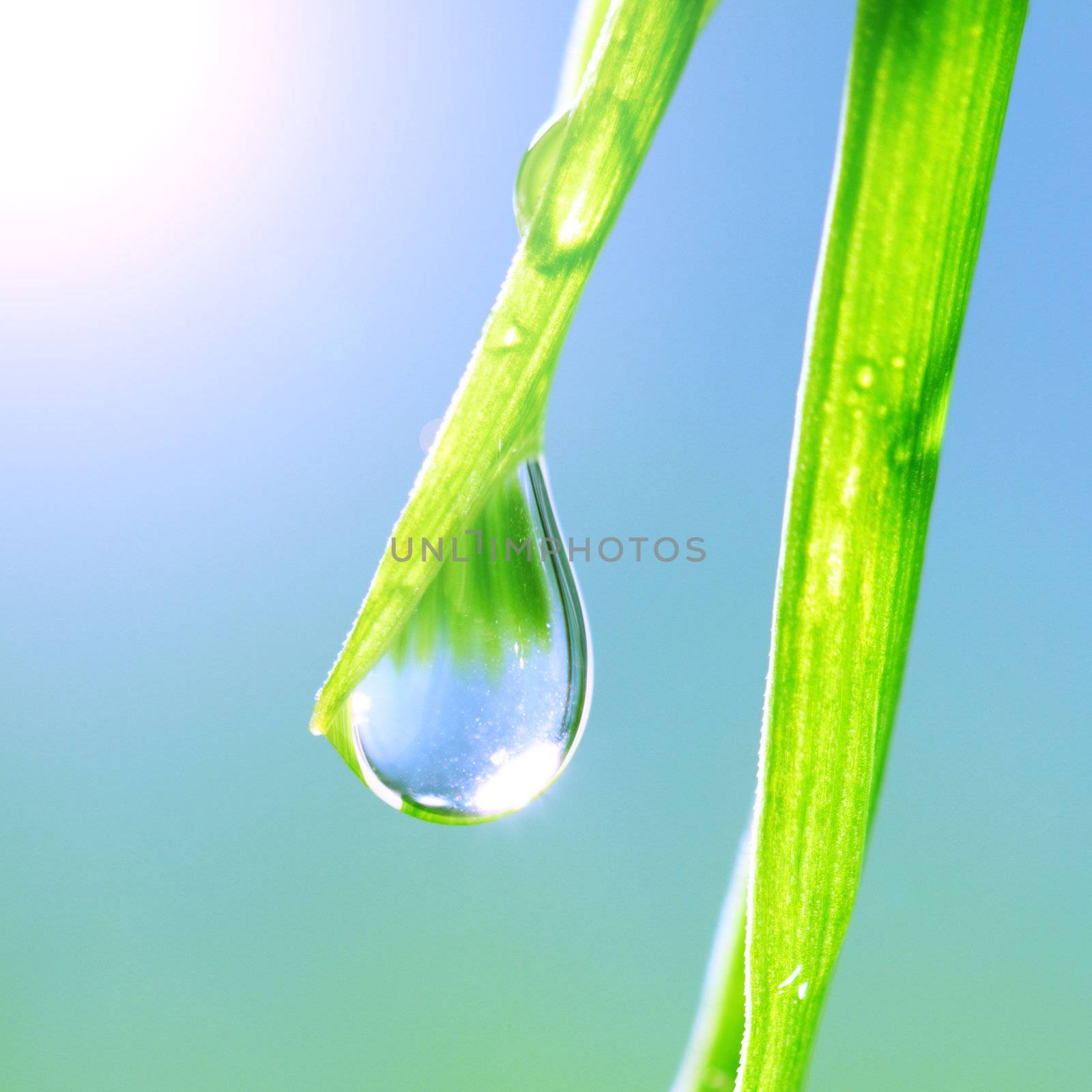 water drop shine in sun light