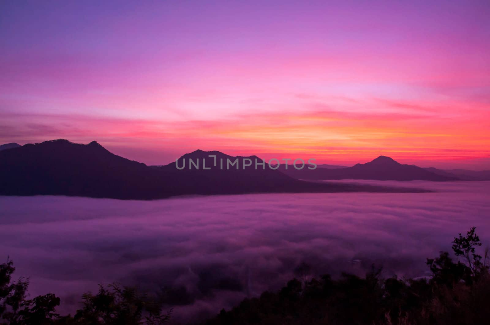 Landscape of fog.Early Morning Mist.