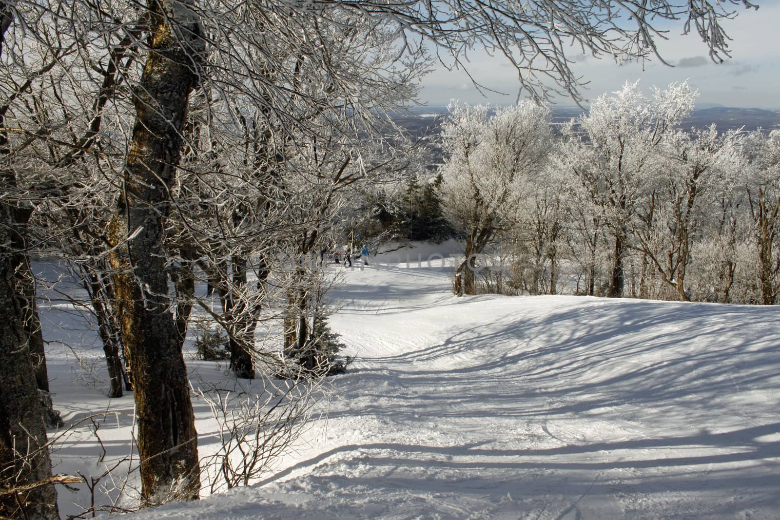 Ski slope by dbriyul