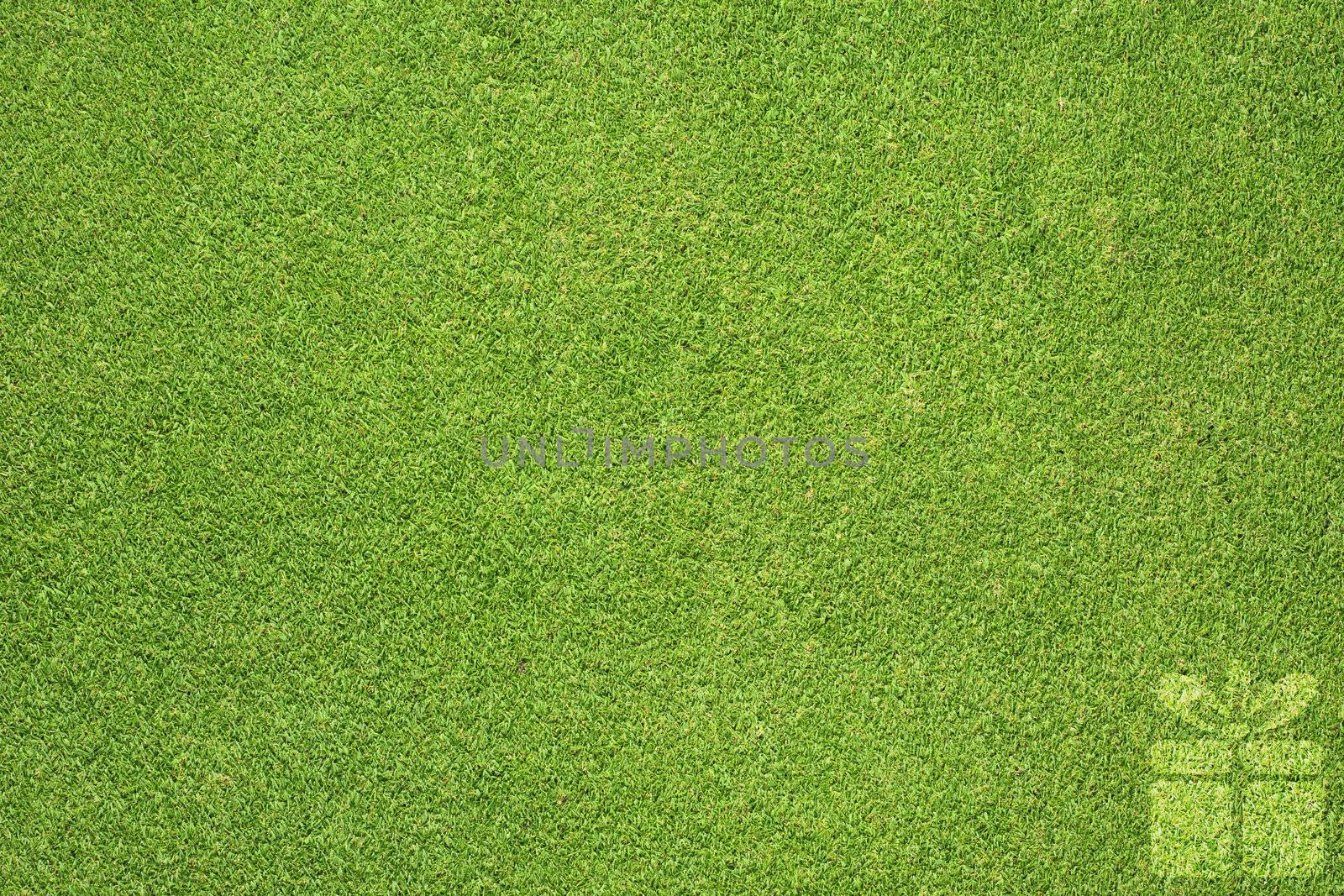 Christmas gift box icon on green grass background 