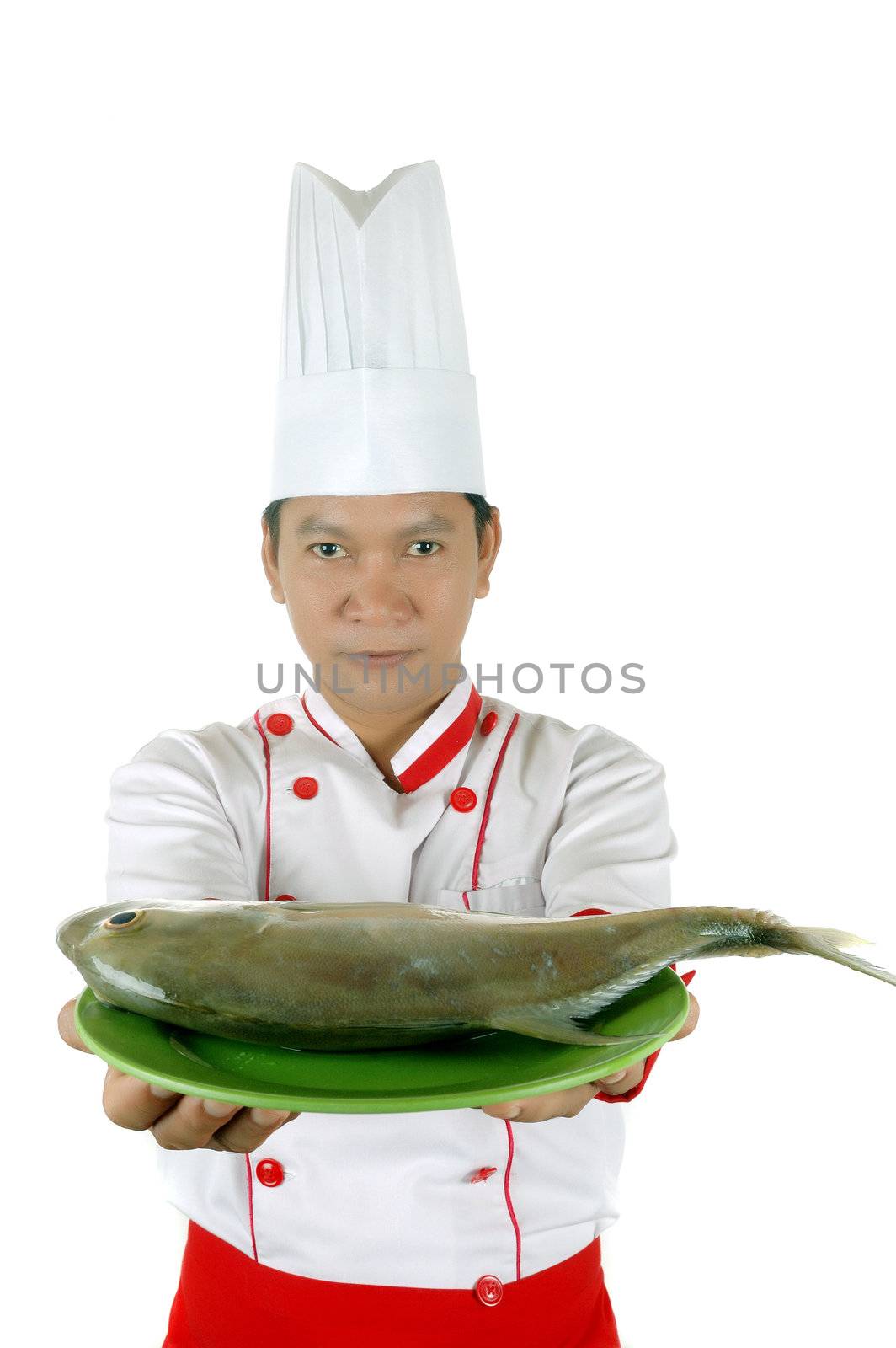 chef holding raw fish on a green plate isolated on white background