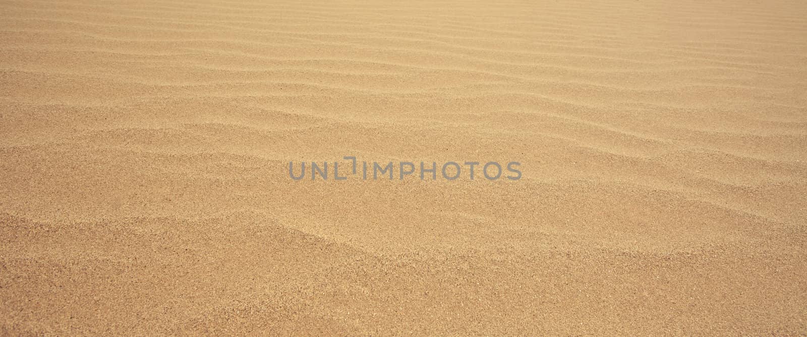 close up rippled sand as the background