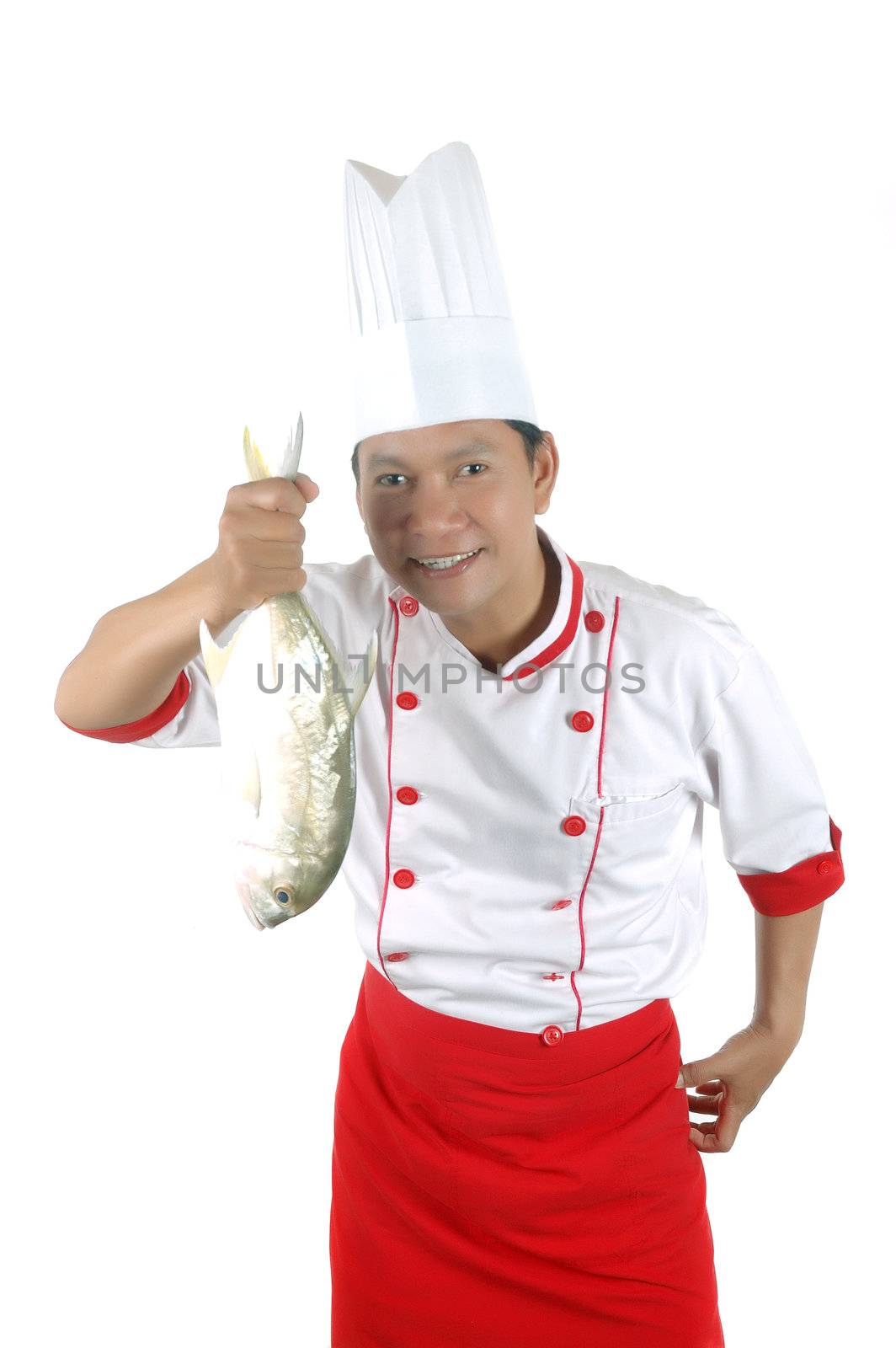 chef holding a big raw fish isolated on white background