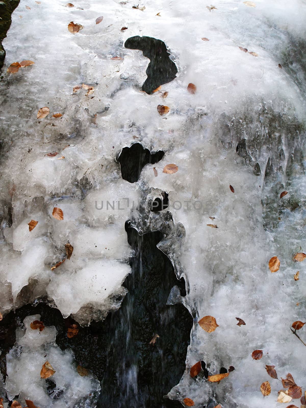 Ice with frozen leaves by anderm