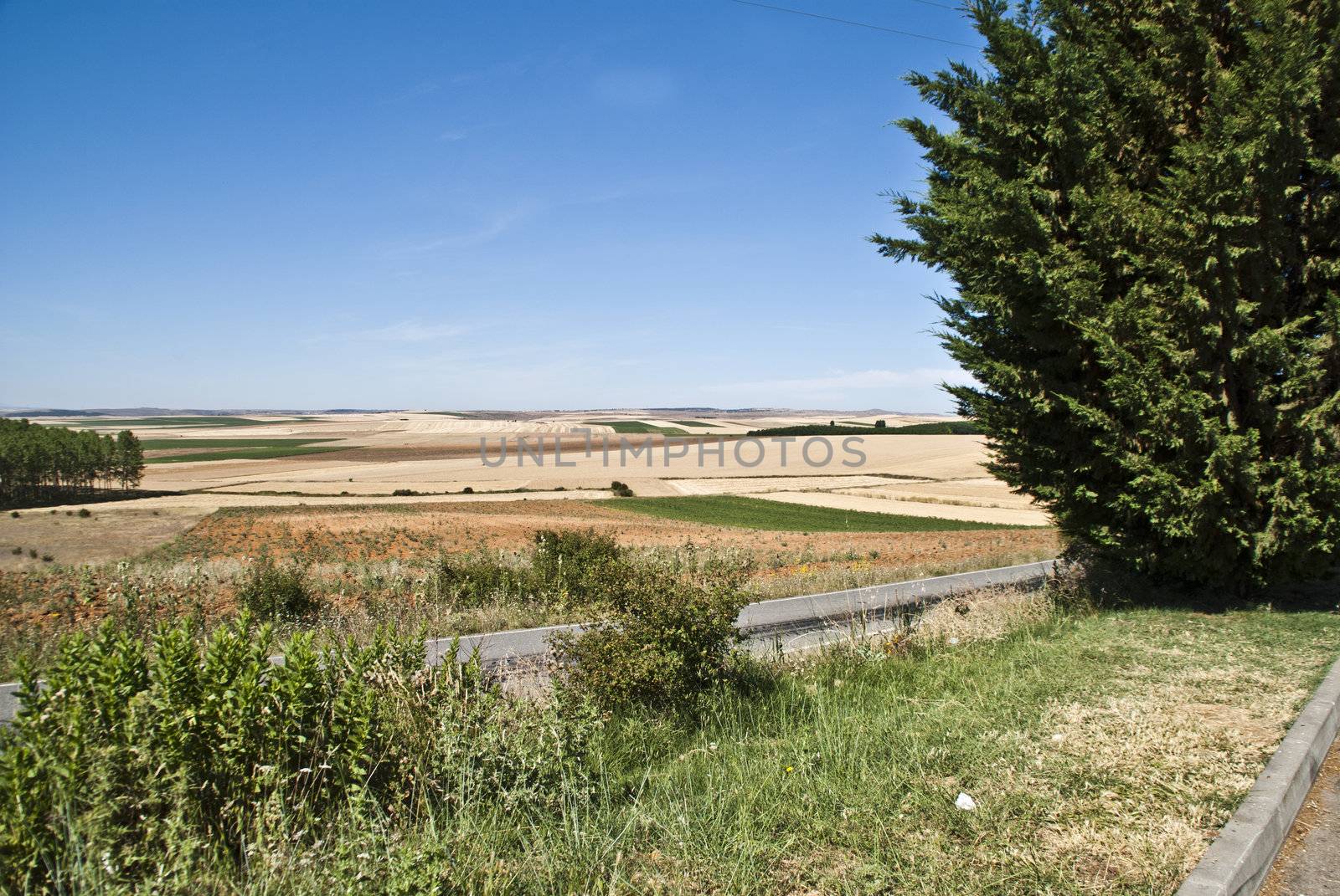 Agricultural Landscape in Spain. by steirus