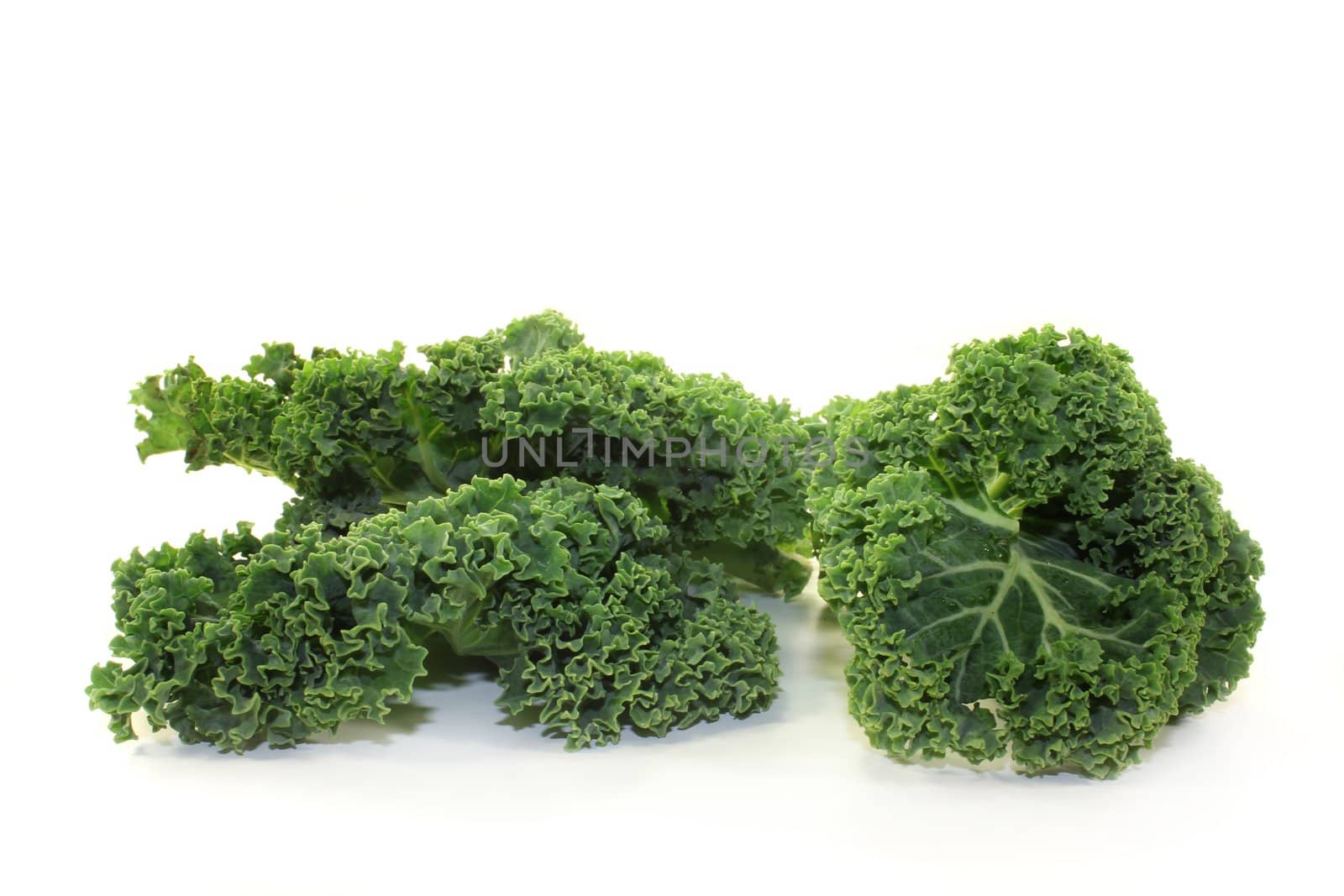 fresh green kale on a white background