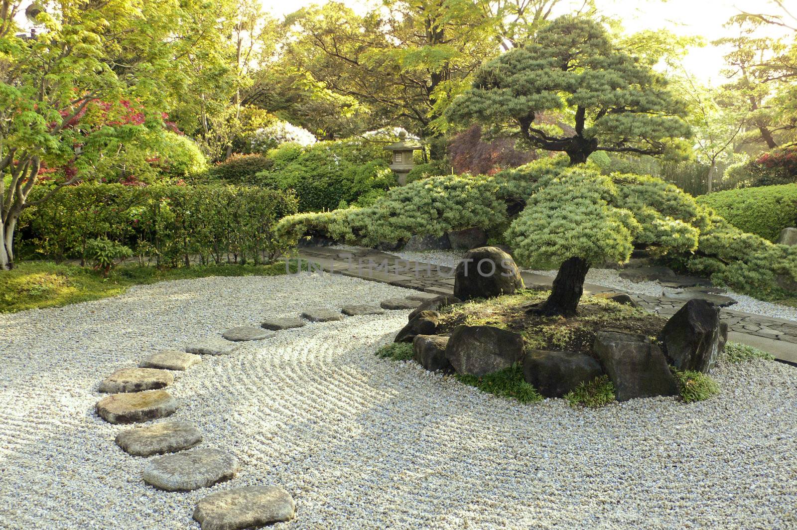 beautiful zen garden by summer morning