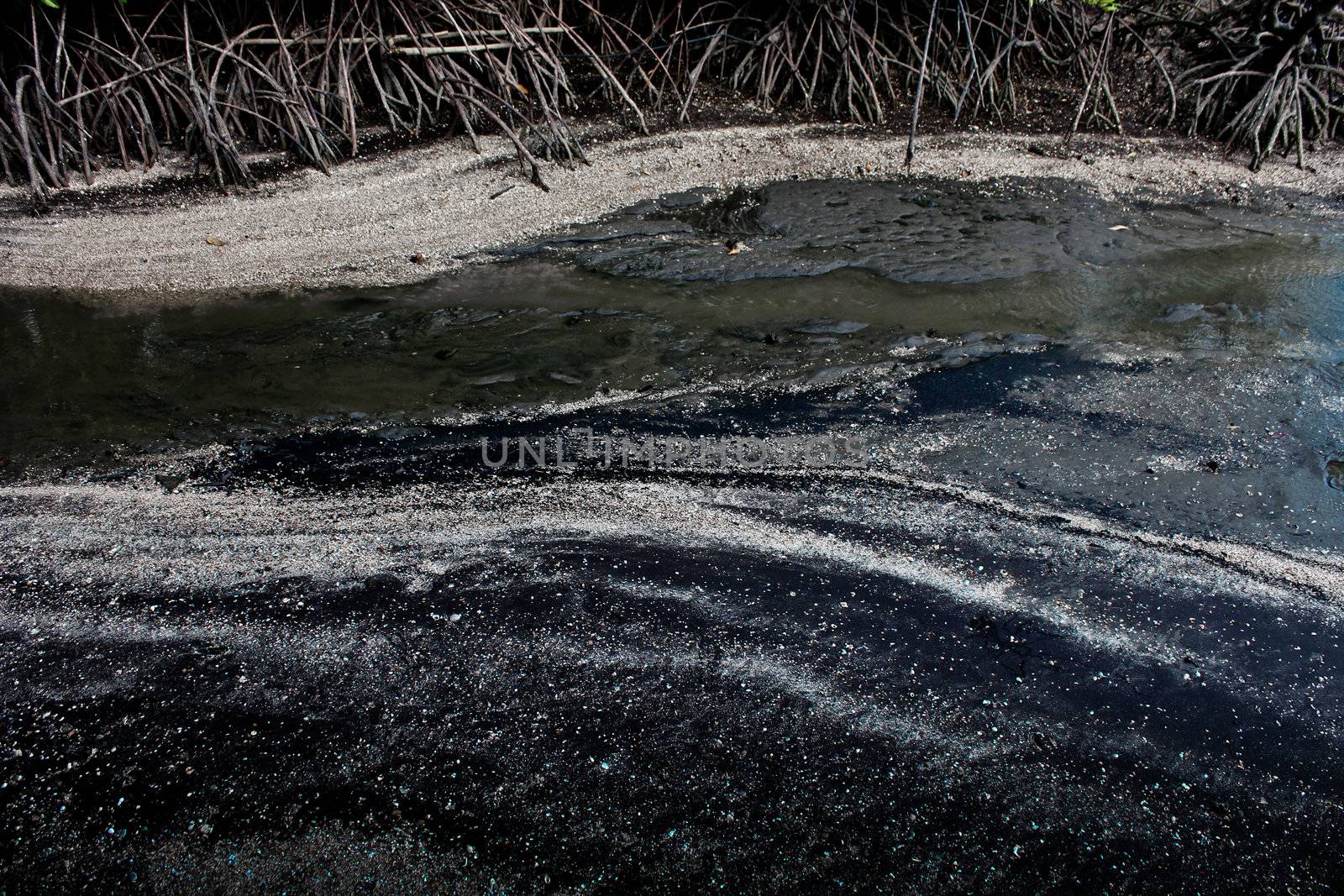 Black Sand Beach by dontpoke