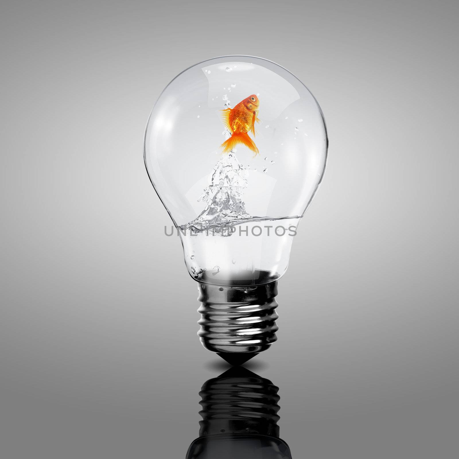 Gold fish inside an electric bulb by sergey_nivens