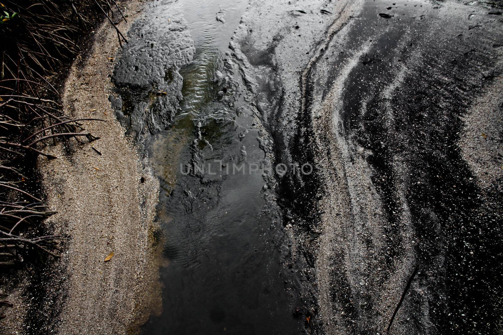 Black Sand Beach by dontpoke