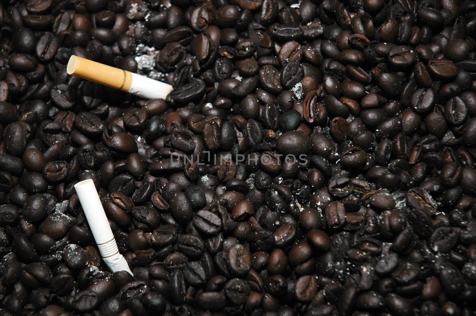 cigarette butts off on a bunch of fried coffee beans are used as an ashtray by antonihalim