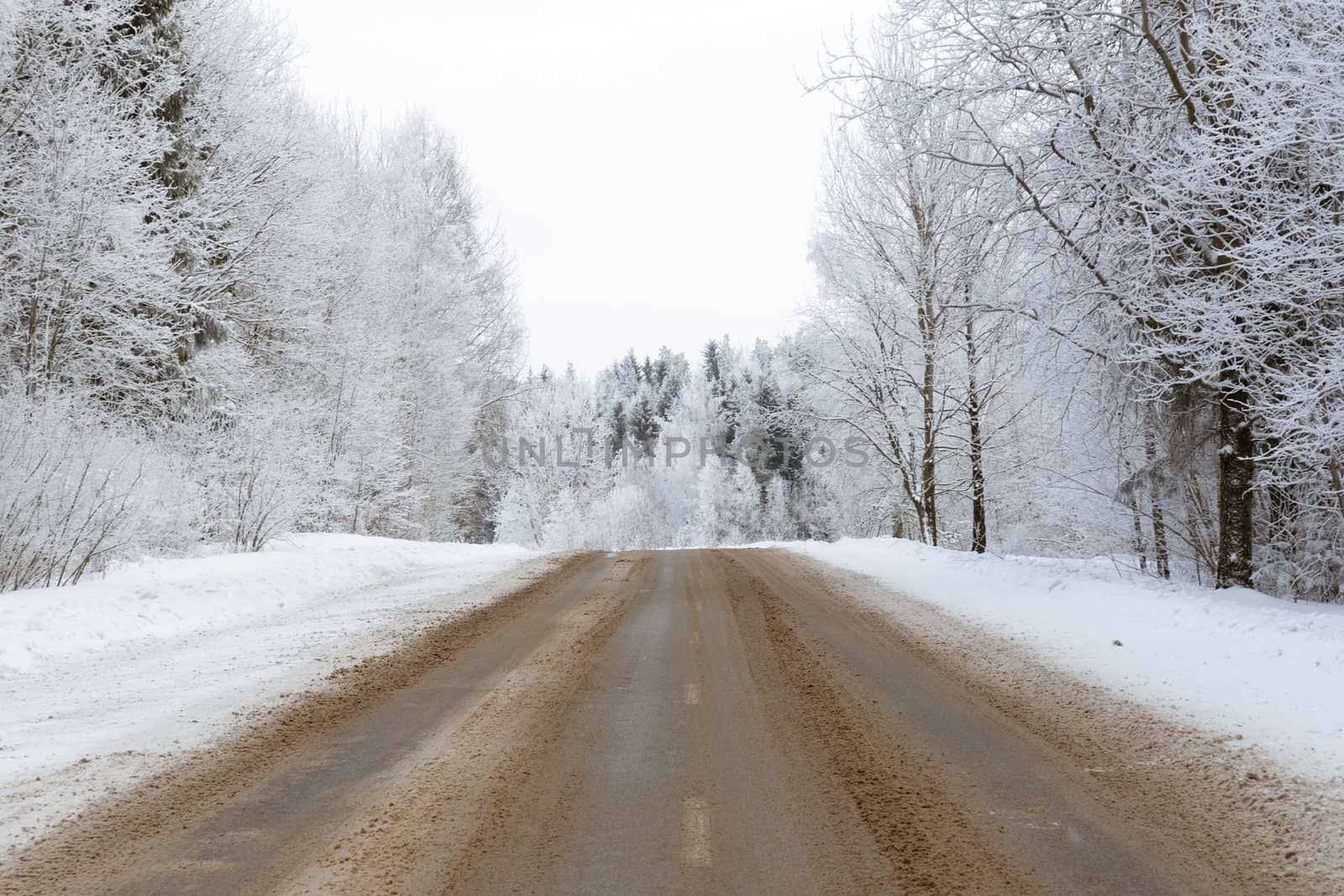 winter road by yuriz