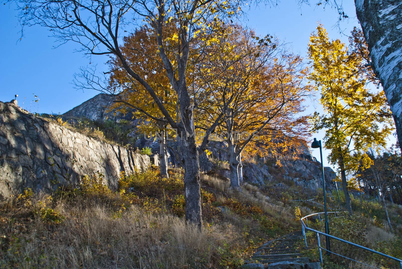 stairway which extends from halden city and up to fredriksten fortress and is surrounded with leaves trees, picture is shot in october 2012.