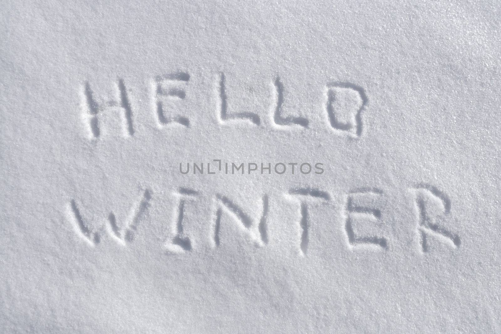 hello winter by yuriz