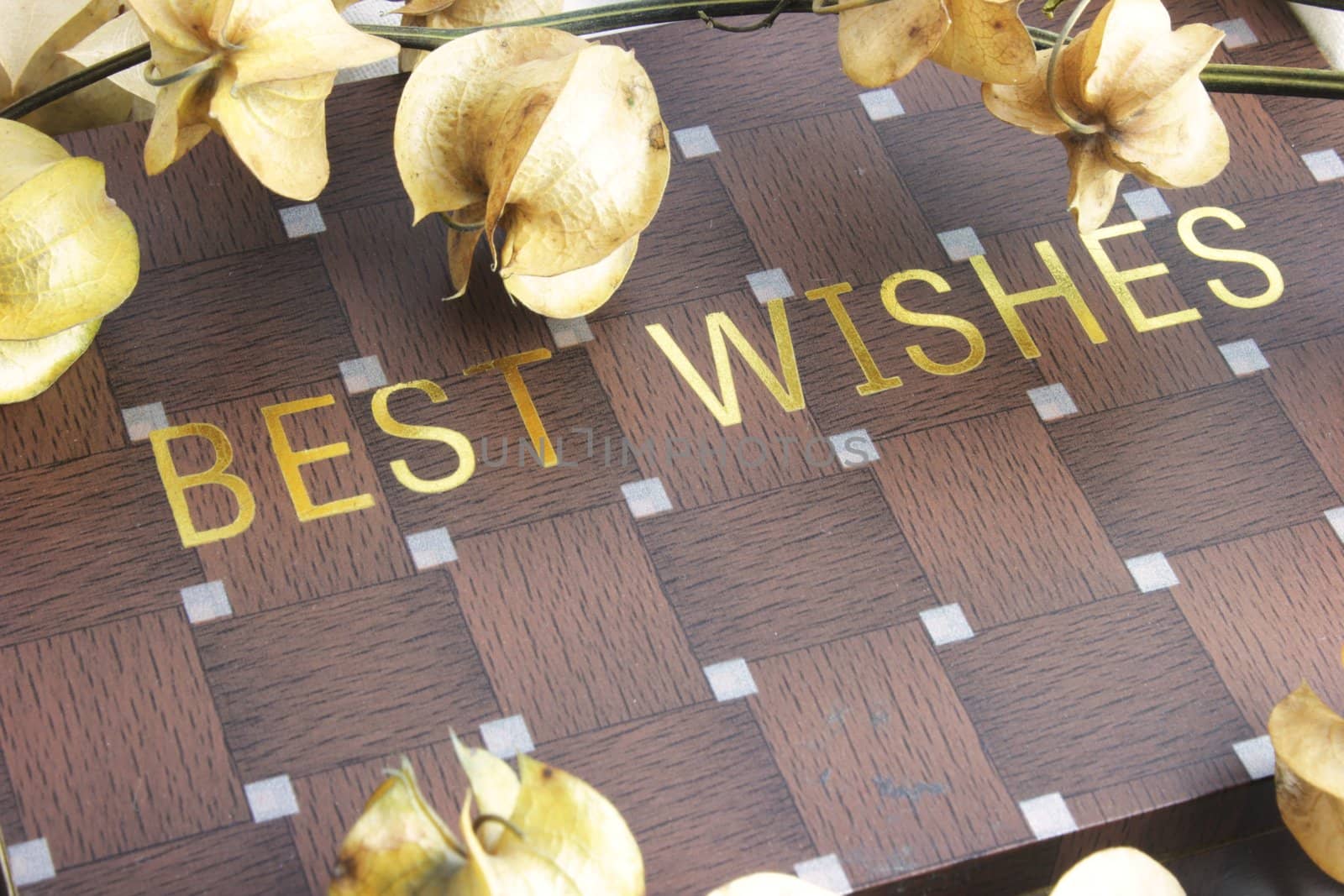 Best wishes inscribed on wooden checkerboard box, placed amidst dried cape gooseberries