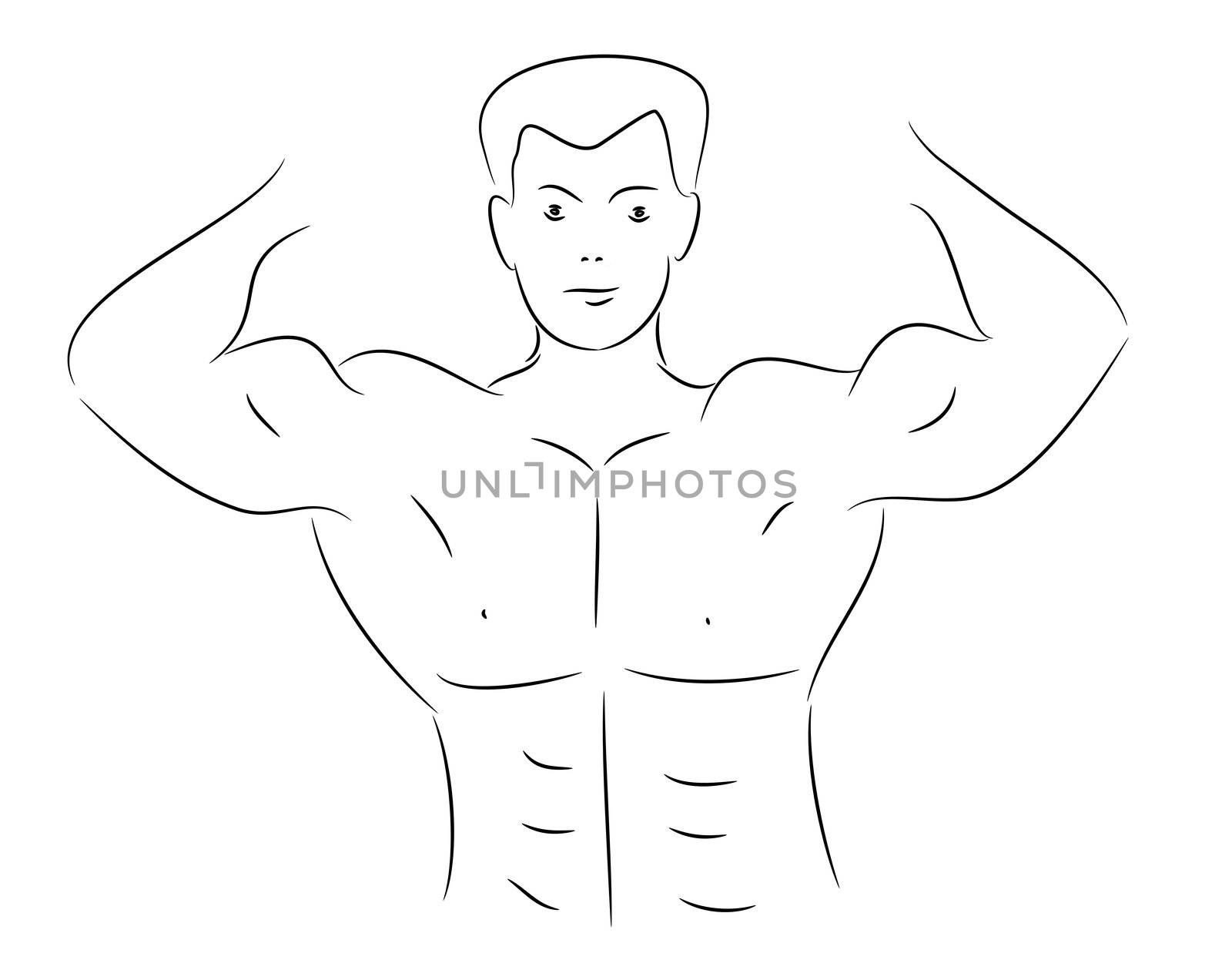 Lineart sketch of a muscular bodybuilder showing his flexed upper body and torso